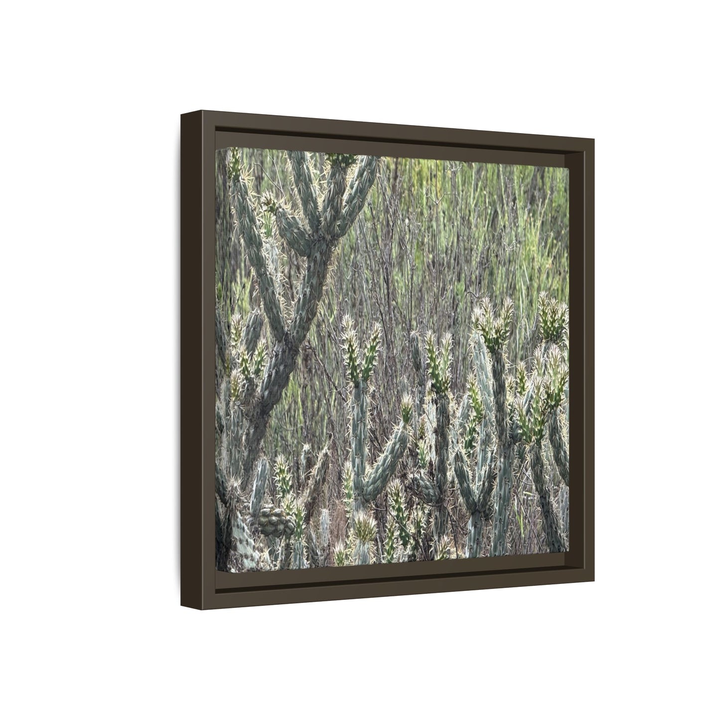 Prickly Paradise - Unique Stretched Canvas Wall Art