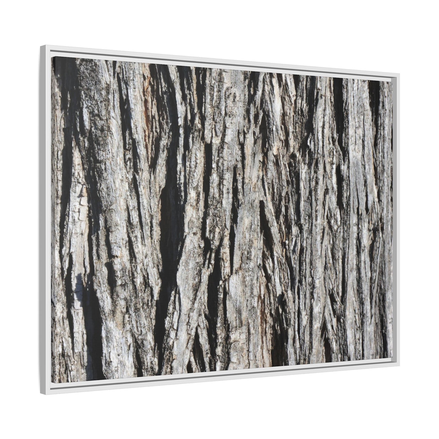 Nature's Abstract - Unique Stretched Canvas Wall Art