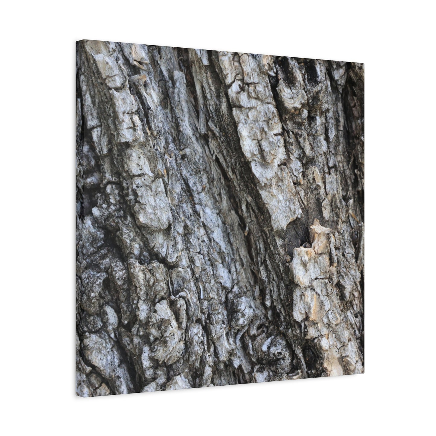 Nature's Rough Embrace - Unique Frameless Canvas Wall Art