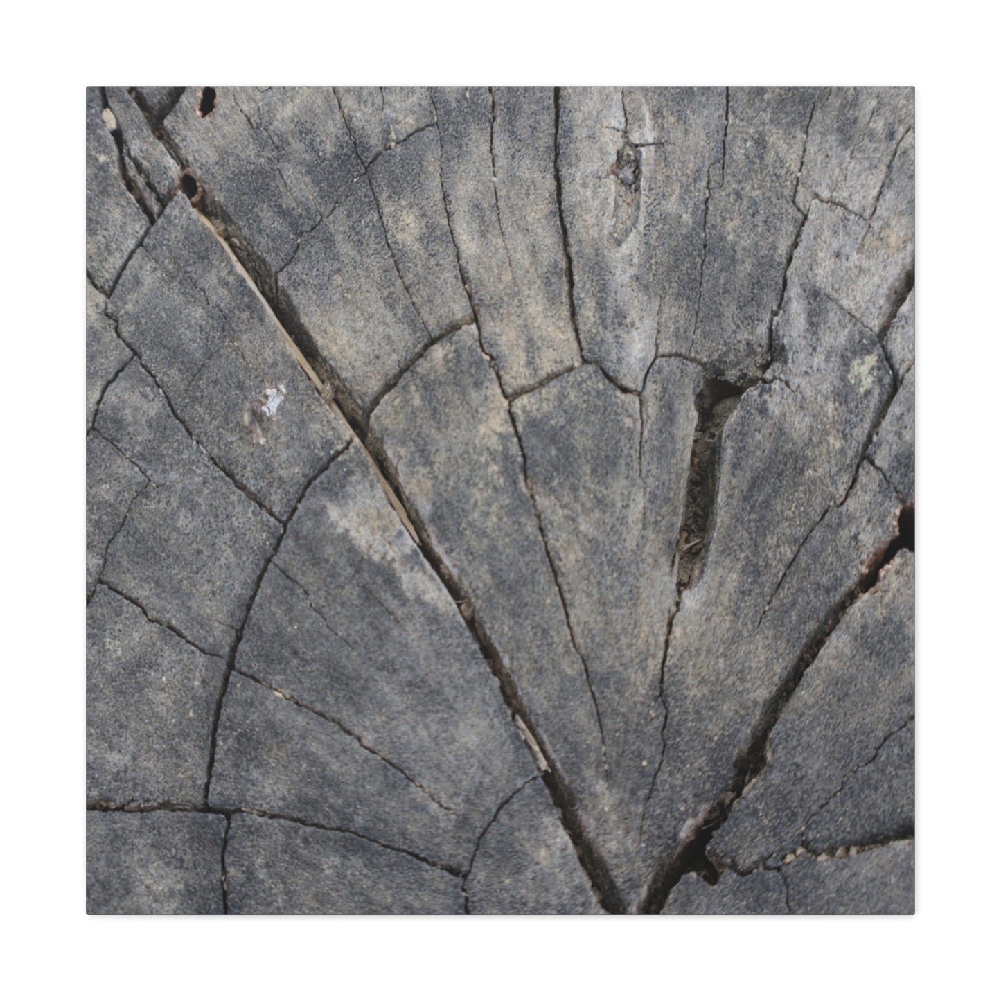 Geological Mosaic - Unique Frameless Canvas Wall Art