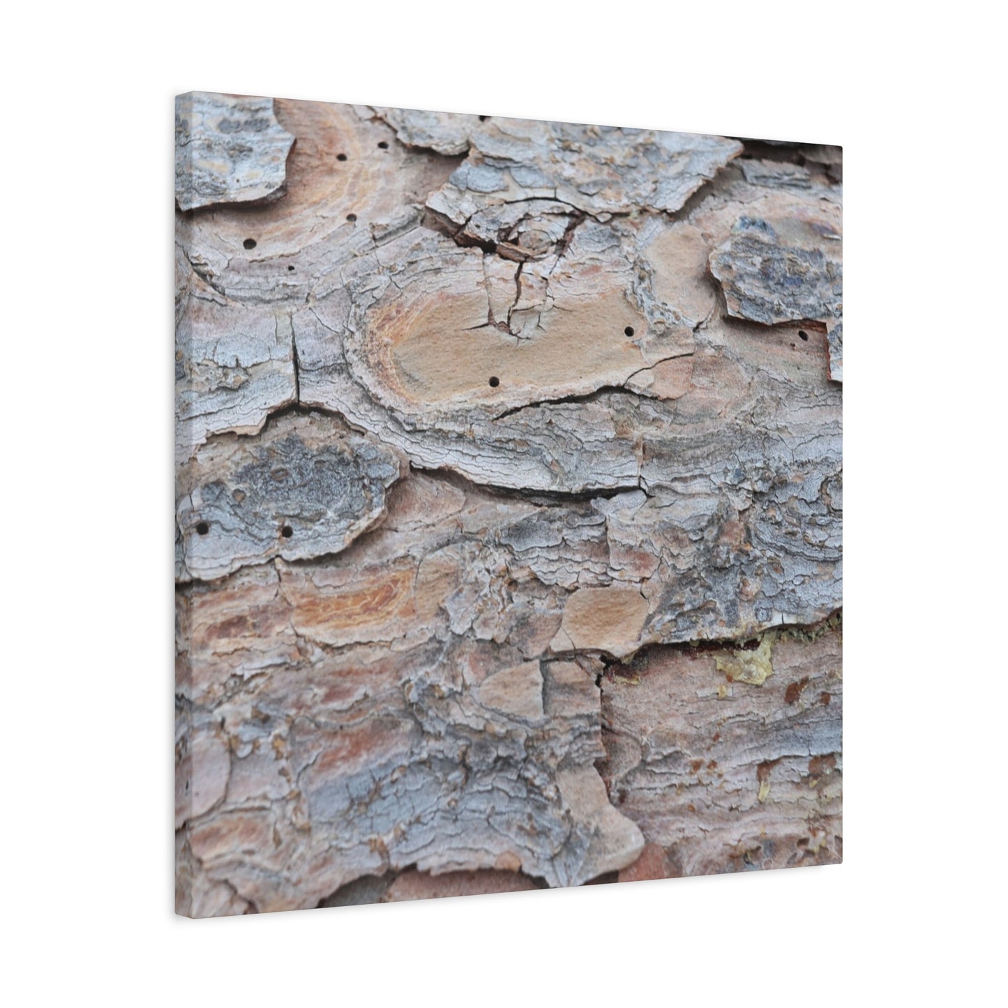 Textural Geology - Unique Frameless Canvas Wall Art