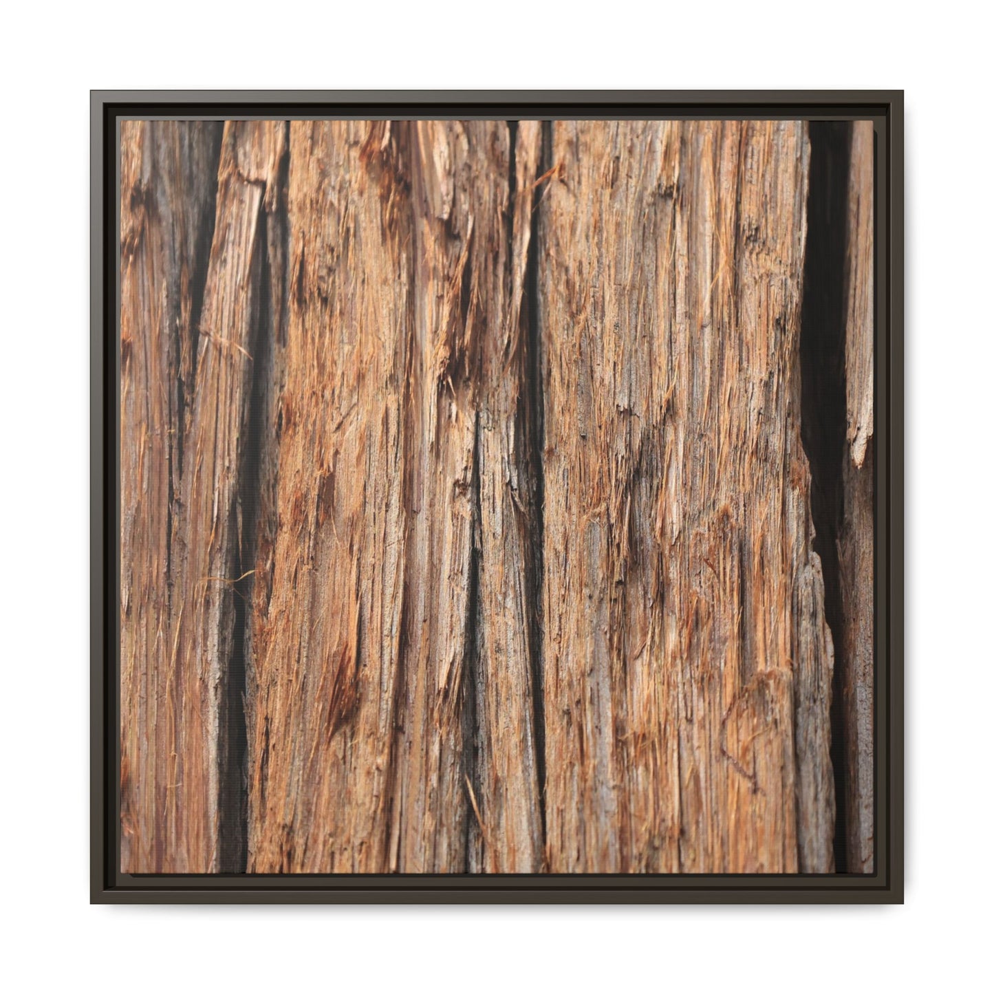 Timber Echoes - Unique Stretched Canvas Wall Art
