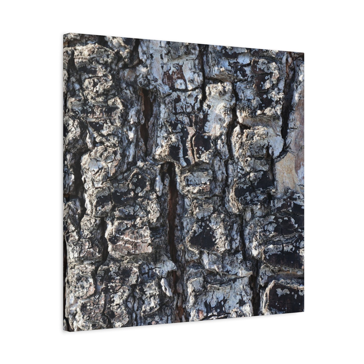 Textured Whispers of the Ancient Tree - Unique Frameless Canvas Wall Art