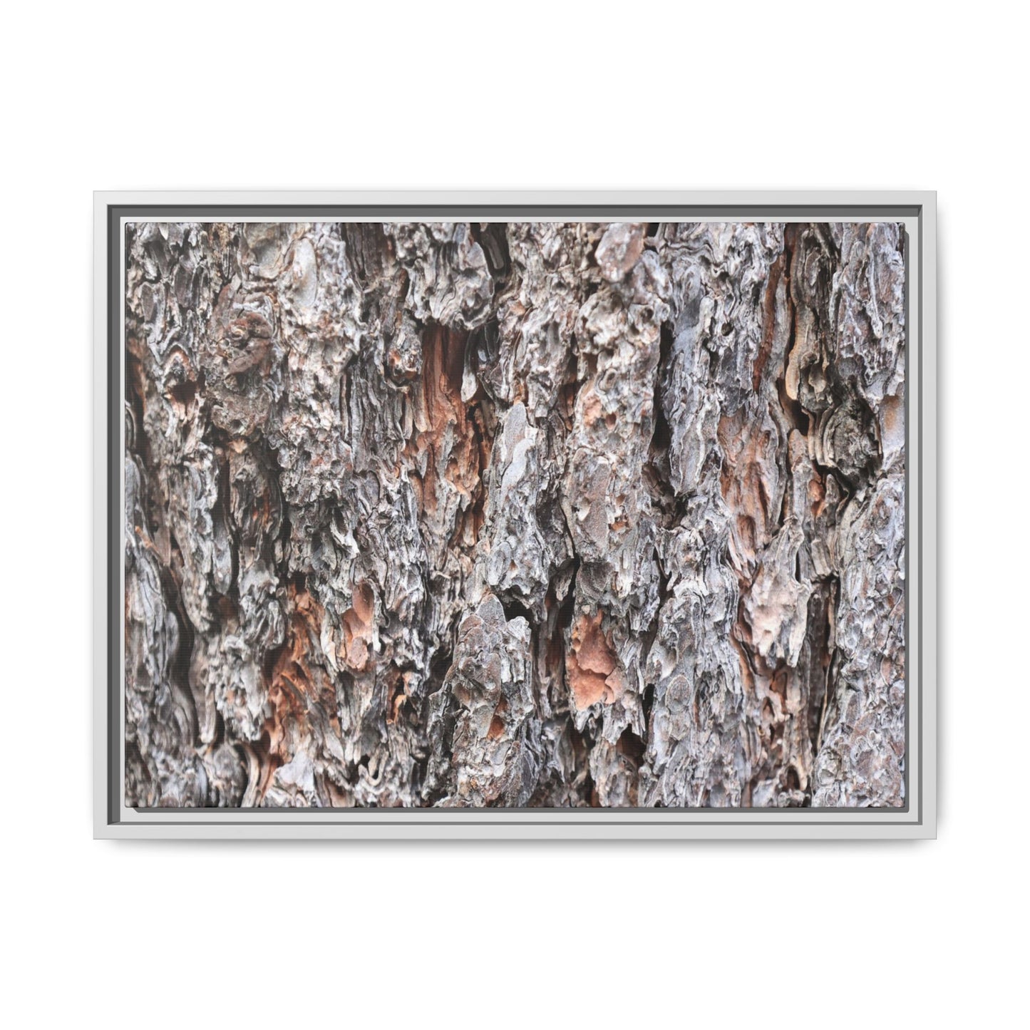 Rugged Cortex - Unique Stretched Canvas Wall Art