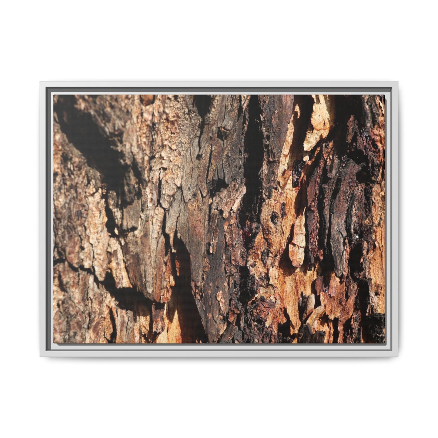 Rugged Beauty - Unique Stretched Canvas Wall Art