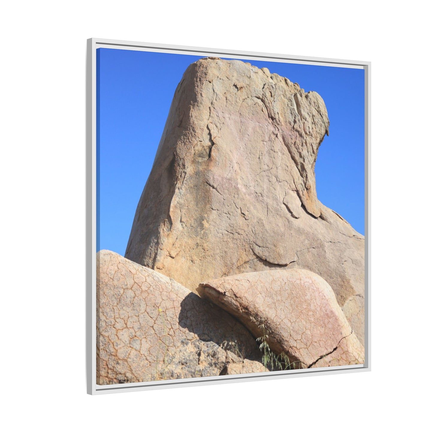 Rocky Sentinel - Unique Stretched Canvas Wall Art