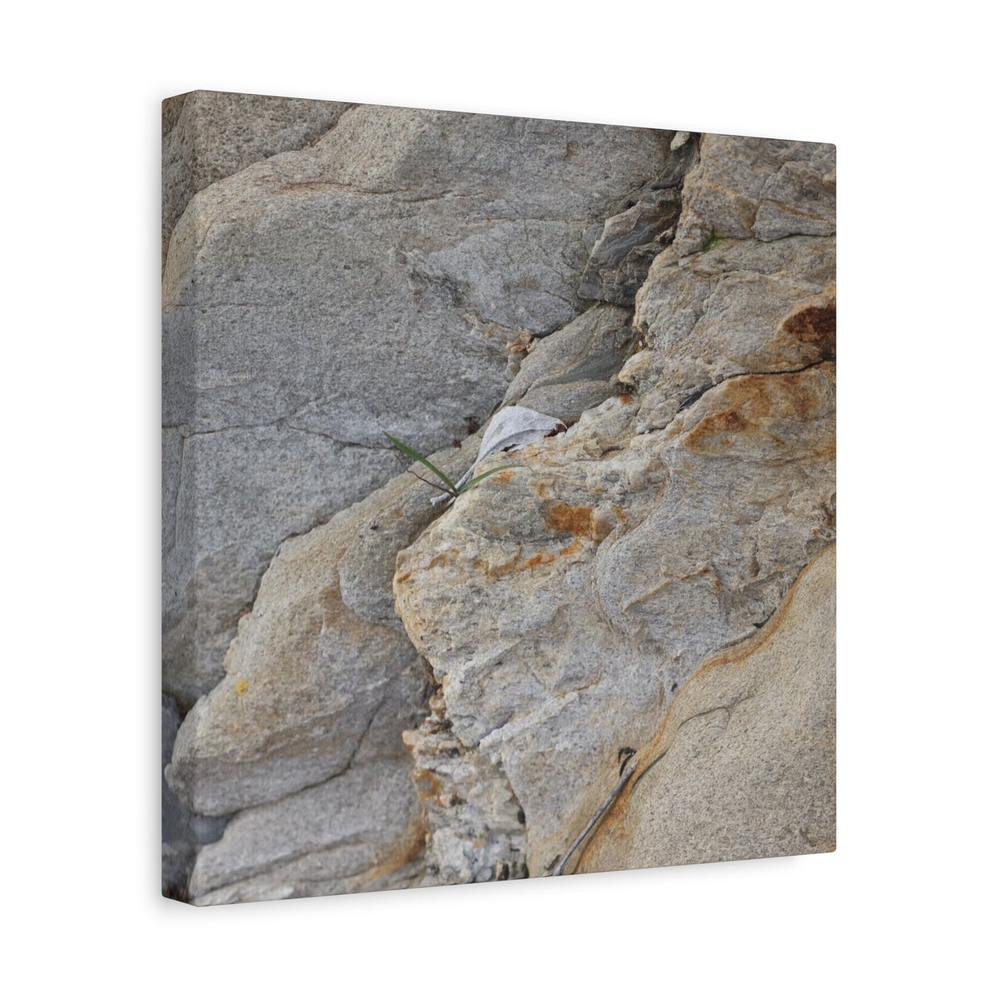 Fractal Earth - Unique Frameless Canvas Wall Art