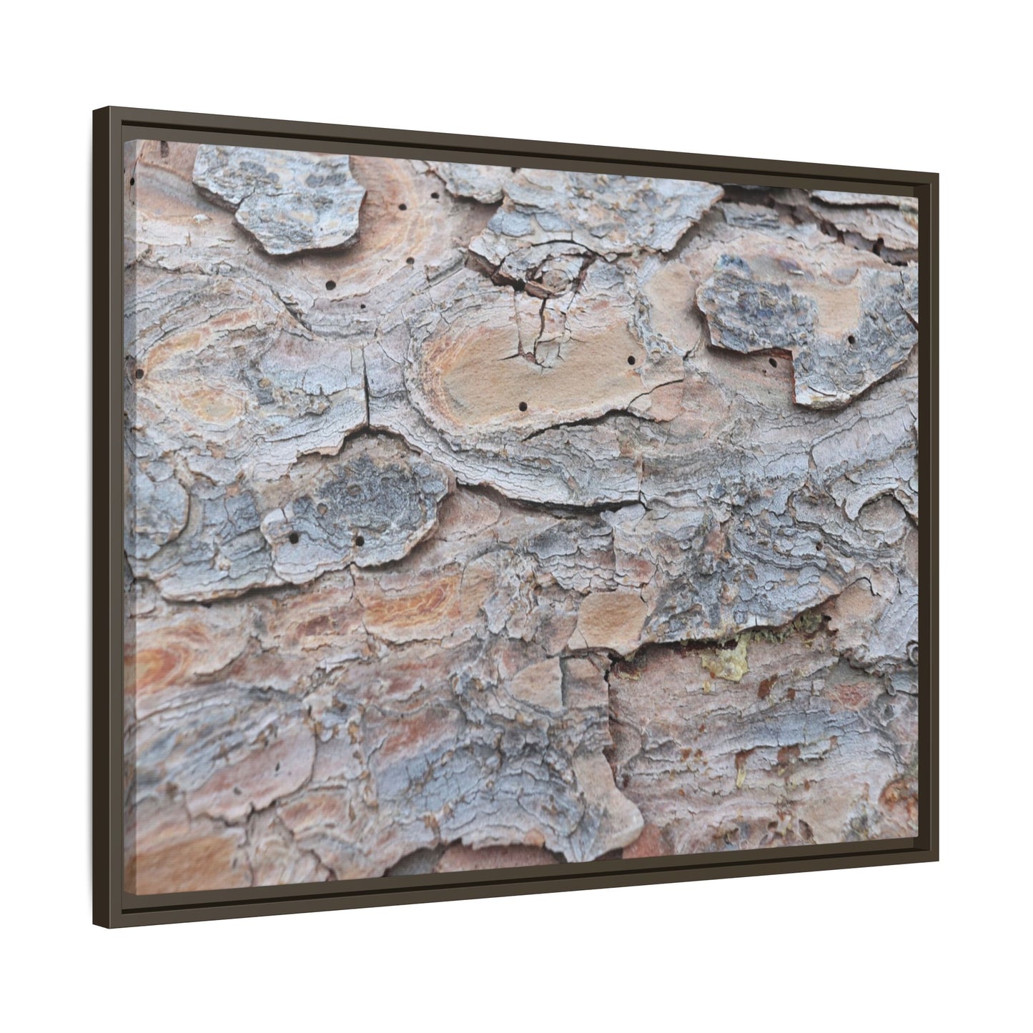 Peeling Memories - Unique Stretched Canvas Wall Art