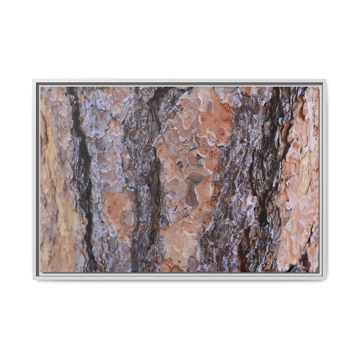 Earthy Embrace - Unique Stretched Canvas Wall Art