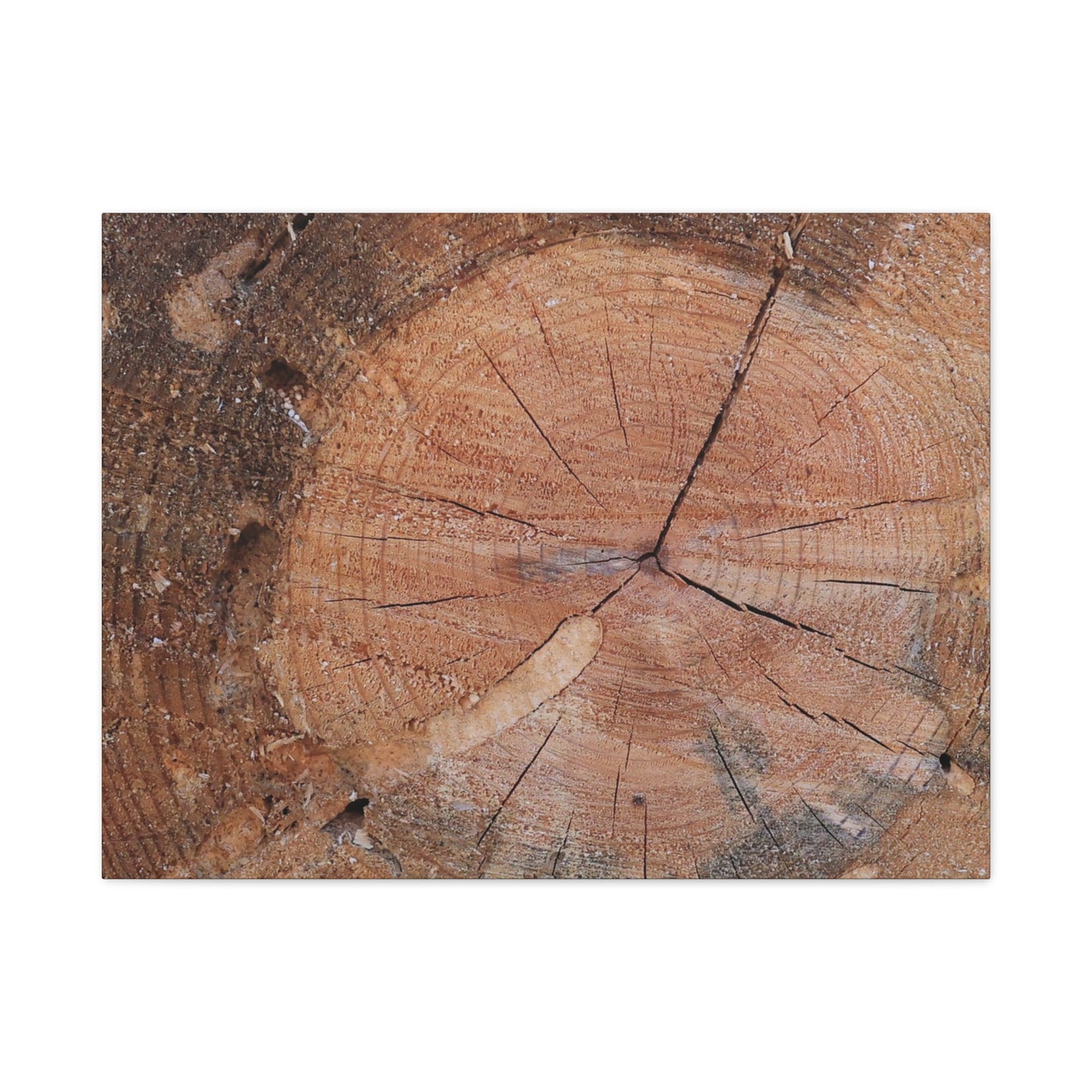 Timber Tale - Unique Frameless Canvas Wall Art