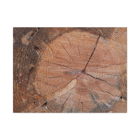 Timber Tale - Unique Frameless Canvas Wall Art - Art By Earth