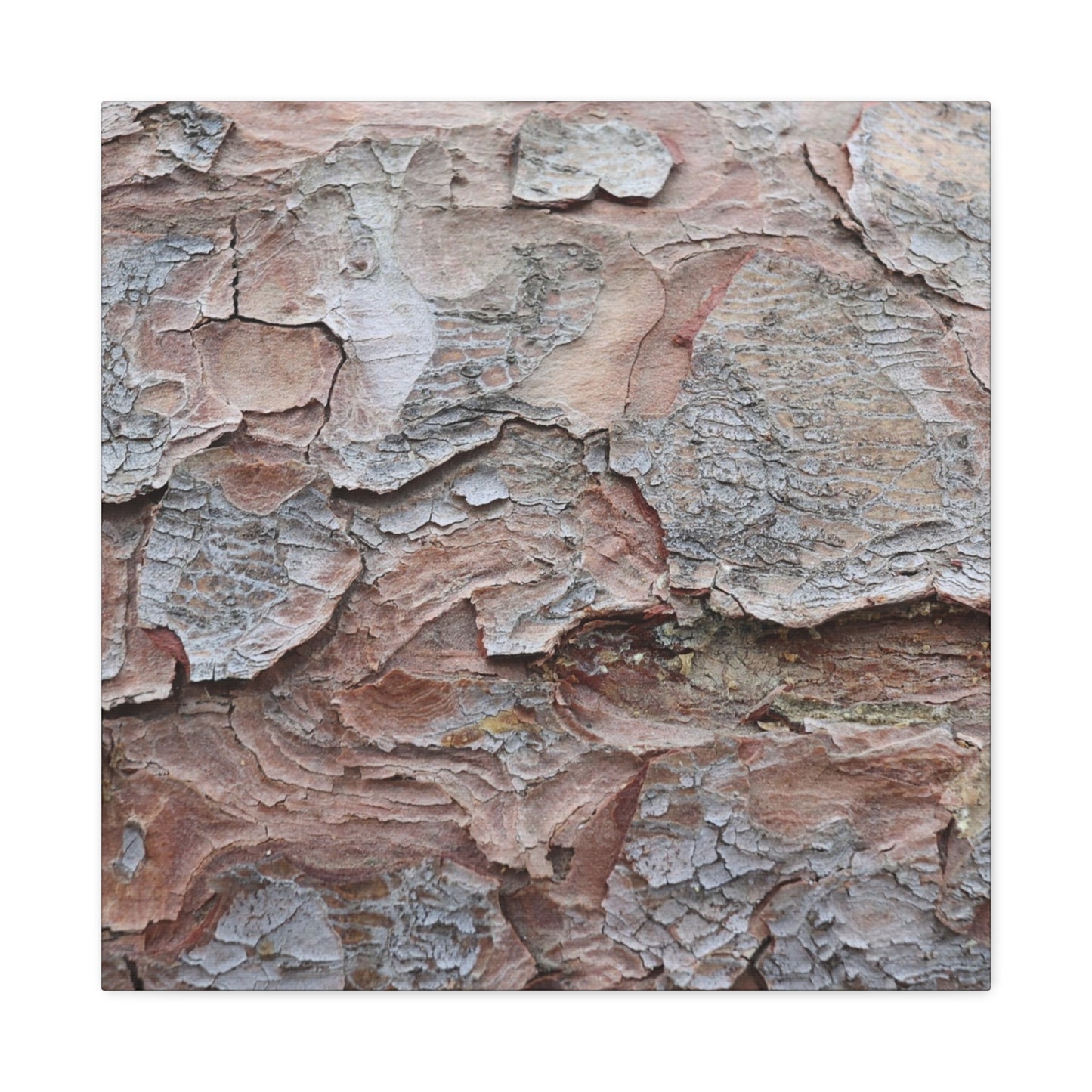 Textural Landscape - Unique Frameless Canvas Wall Art