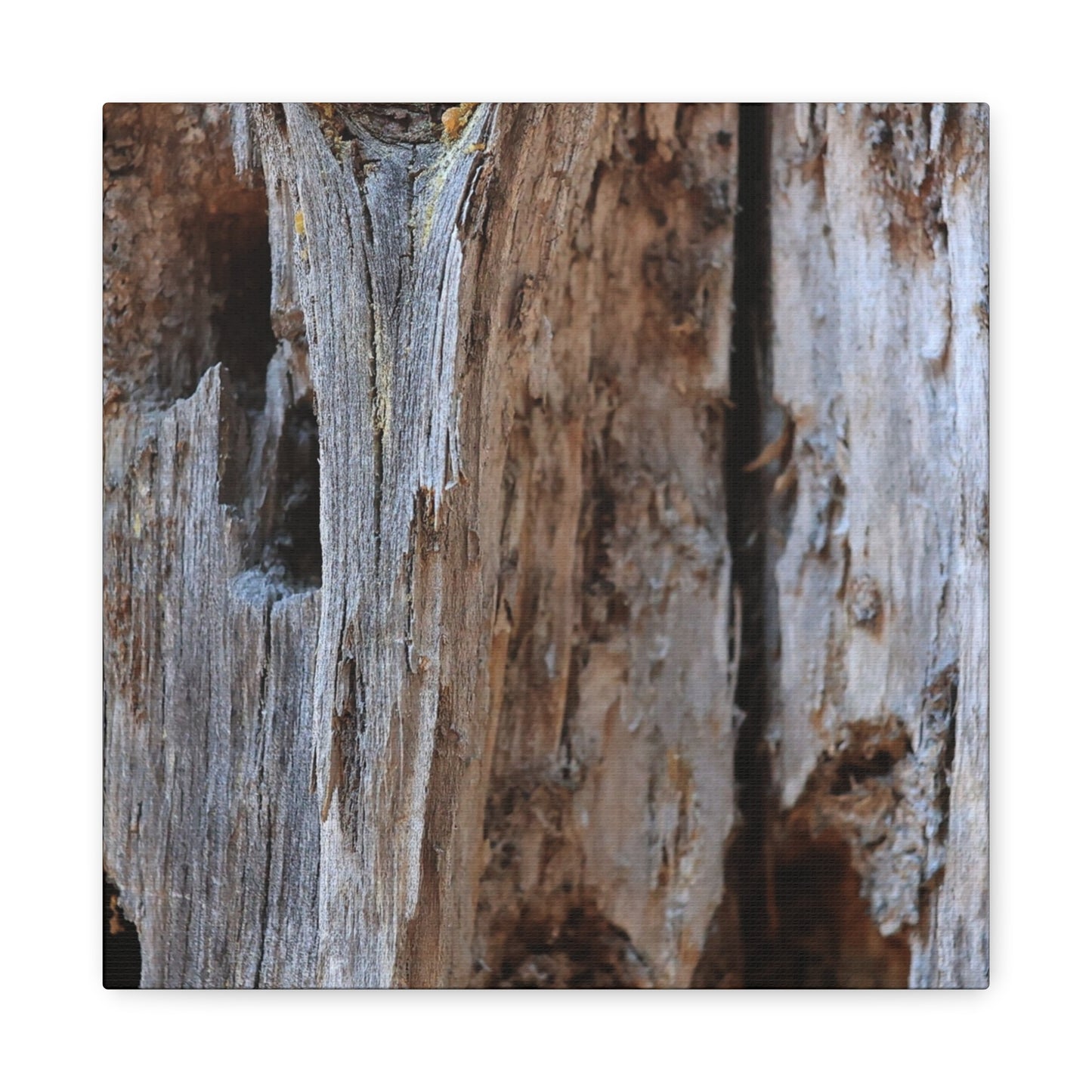 Timber Tapestry - Unique Frameless Canvas Wall Art