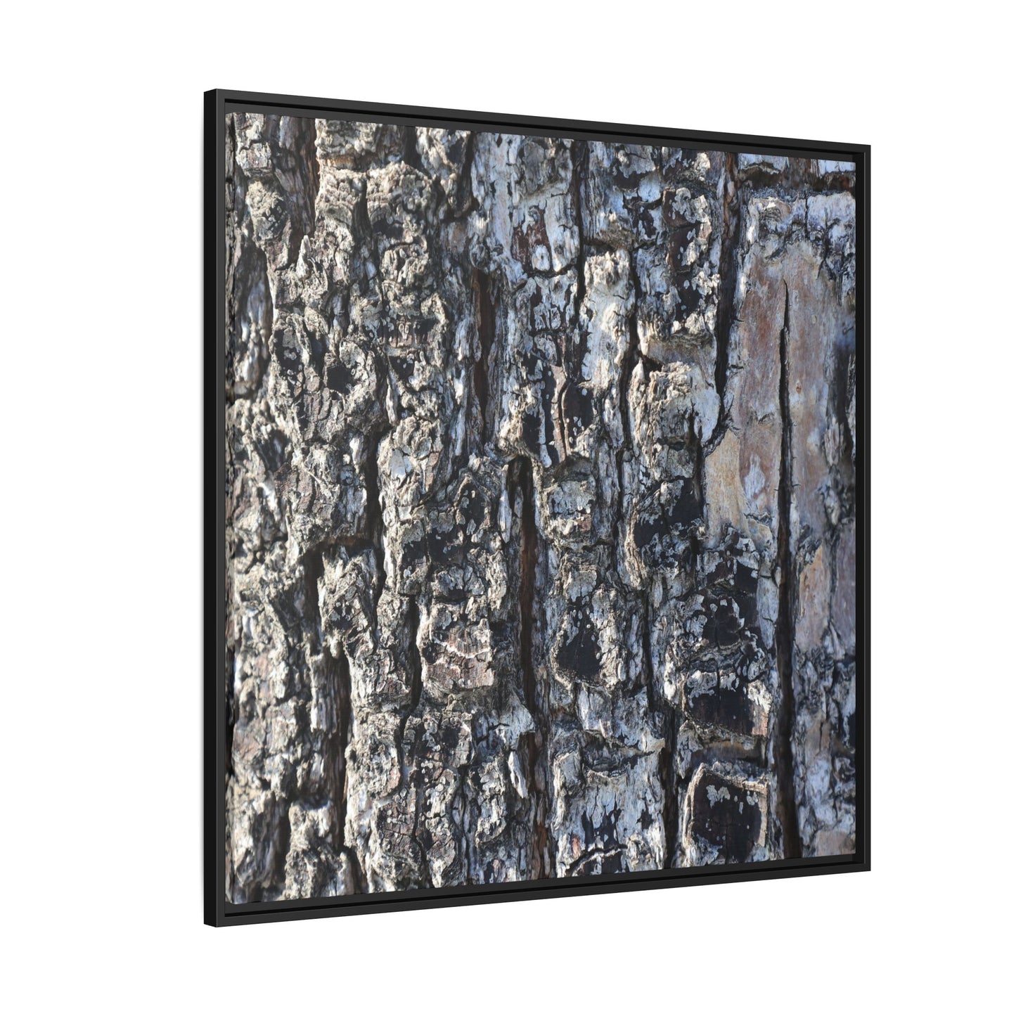 The Bark Chronicles - Unique Stretched Canvas Wall Art