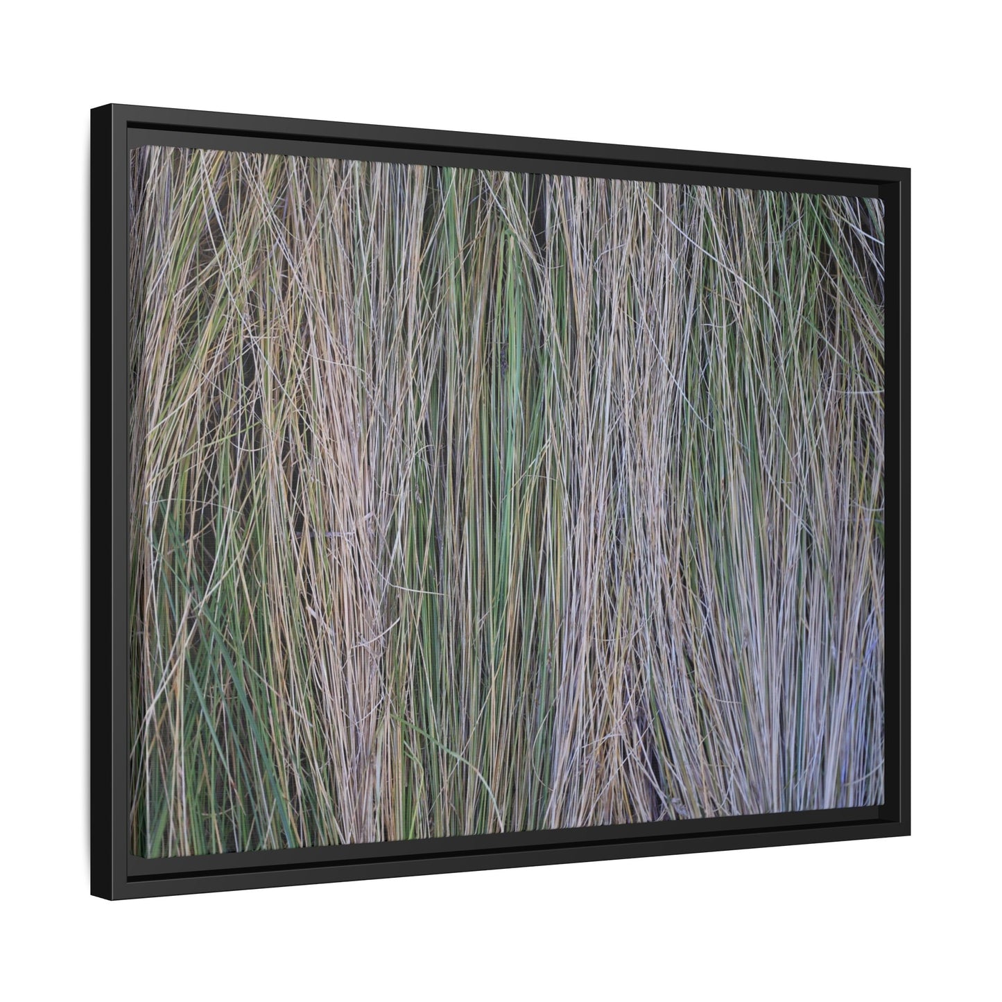 Whispers of Silver Grass - Unique Stretched Canvas Wall Art