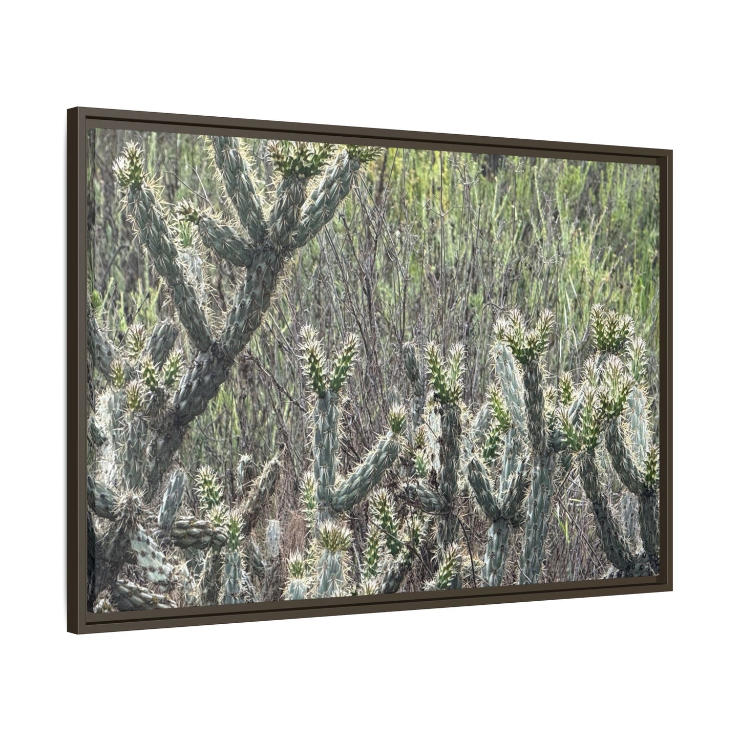 Prickly Paradise - Unique Stretched Canvas Wall Art