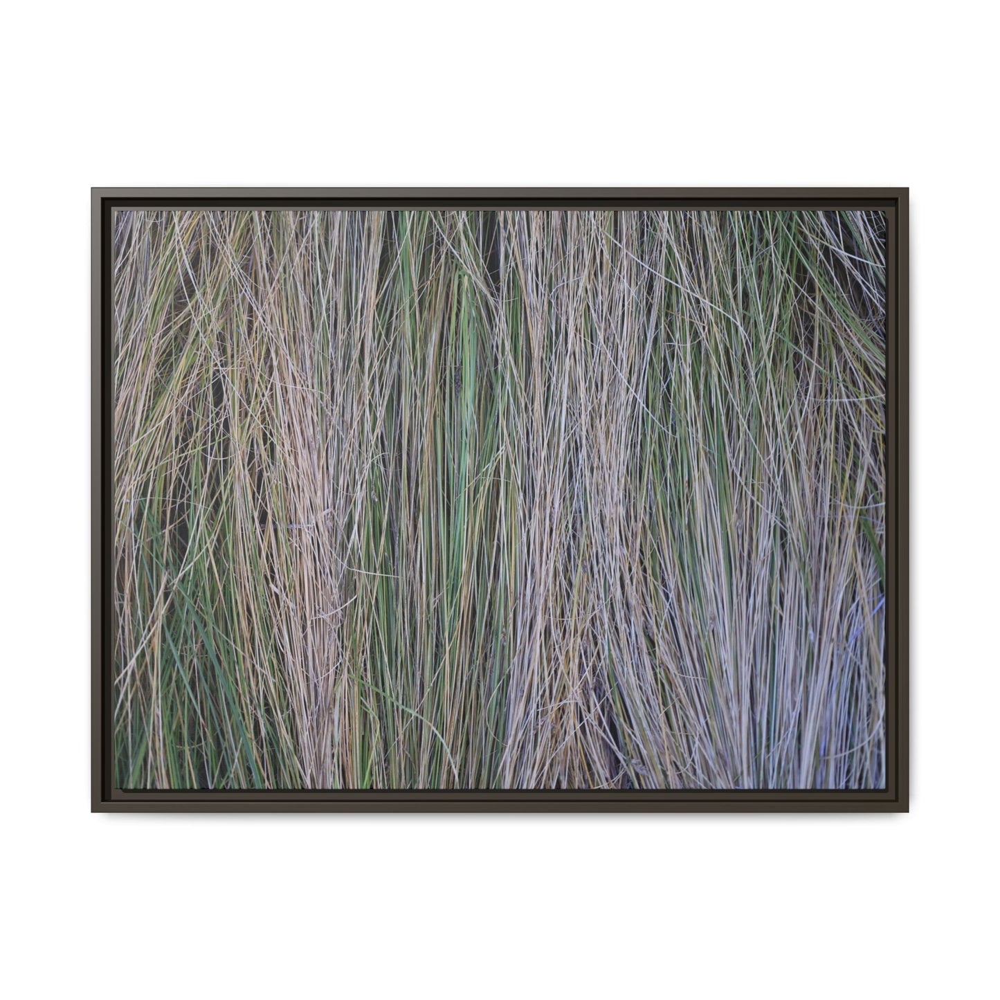 Whispers of Silver Grass - Unique Stretched Canvas Wall Art