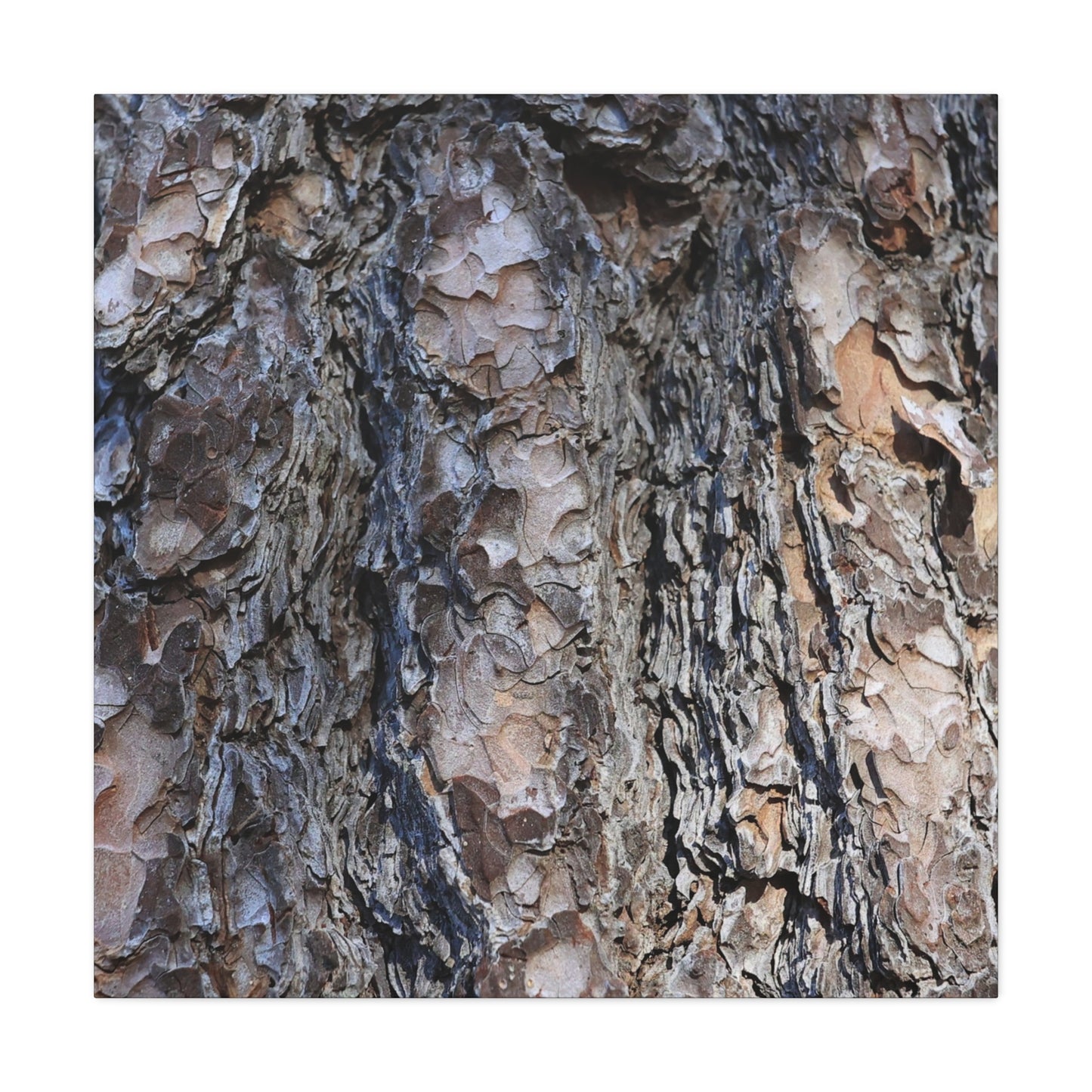 Bark's Rugged Symphony - Unique Frameless Canvas Wall Art