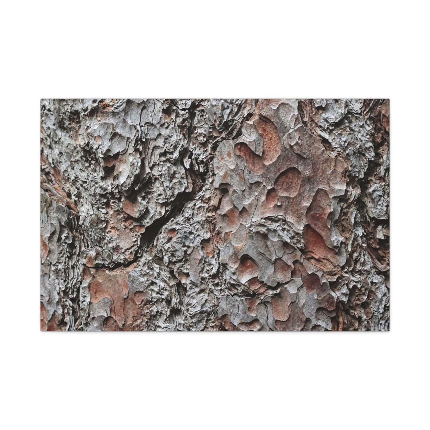 Textured Whispers of Bark - Unique Frameless Canvas Wall Art