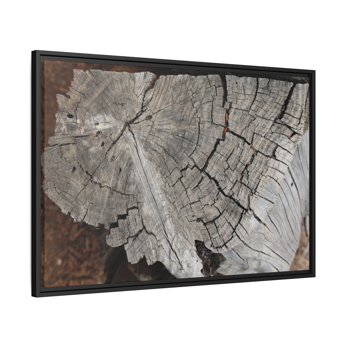 Time's Signature - Unique Stretched Canvas Wall Art