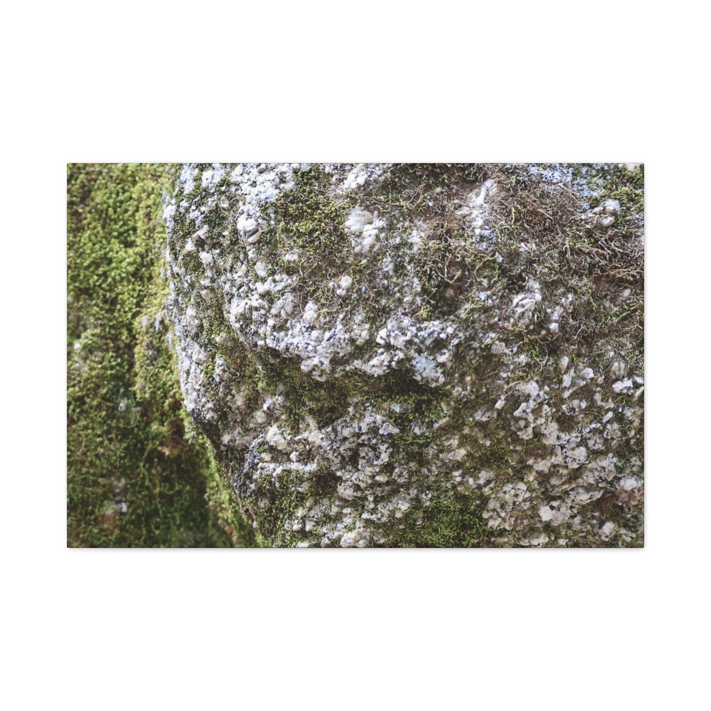 Moss and Stone Whispers - Unique Frameless Canvas Wall Art