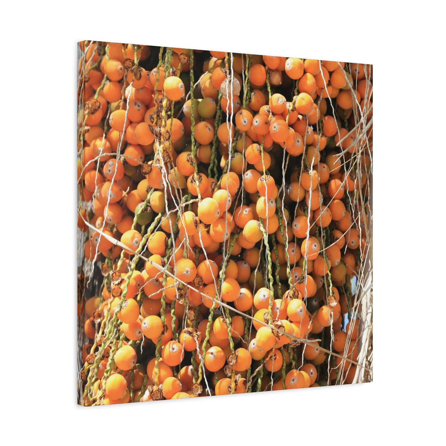 Orange Harvest - Unique Frameless Canvas Wall Art