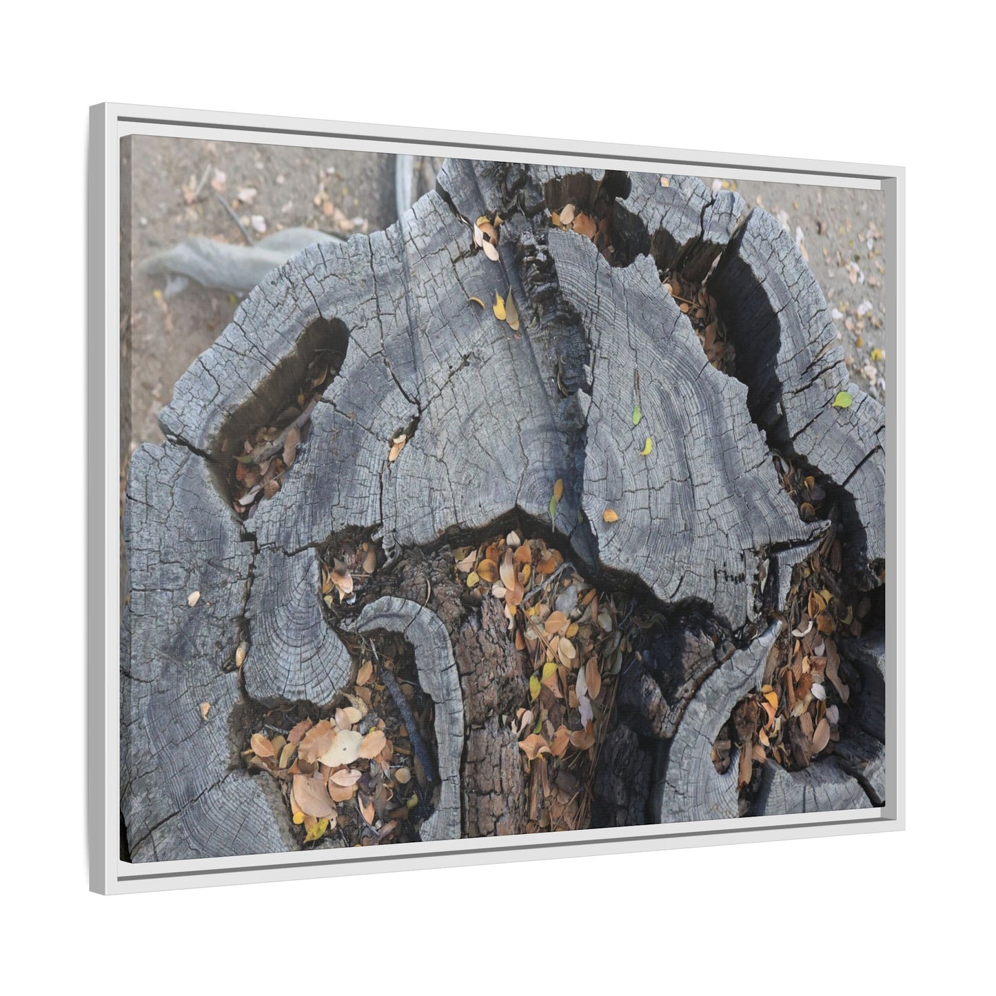 Time's Fractal Memory - Unique Stretched Canvas Wall Art