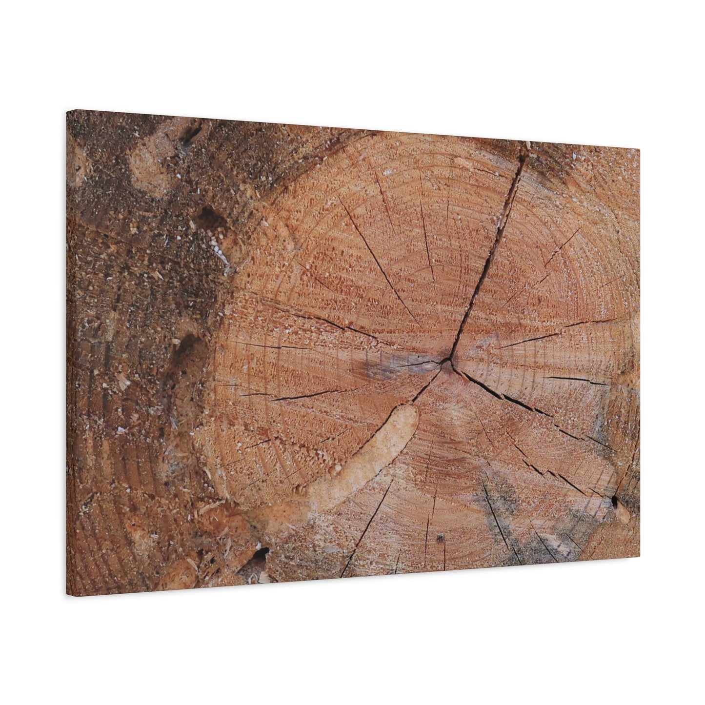 Timber Tale - Unique Frameless Canvas Wall Art