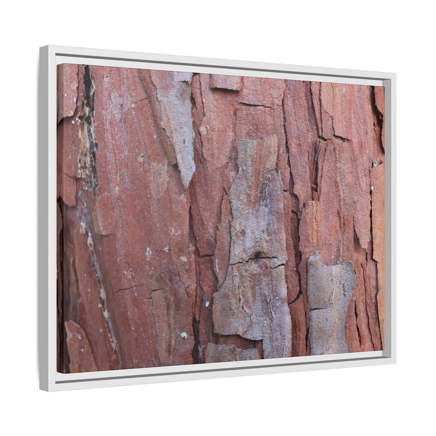 Peeling Bark - Unique Stretched Canvas Wall Art
