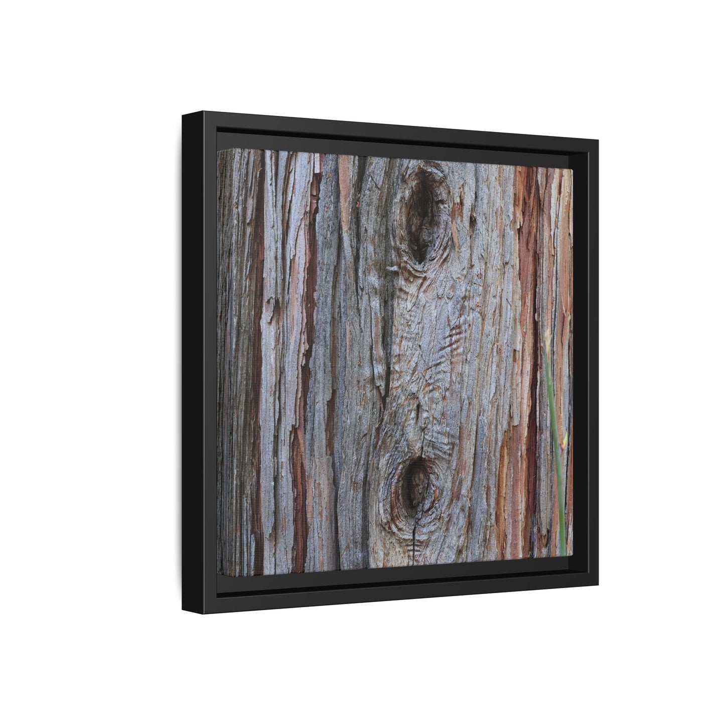 Knotty Nature - Unique Stretched Canvas Wall Art