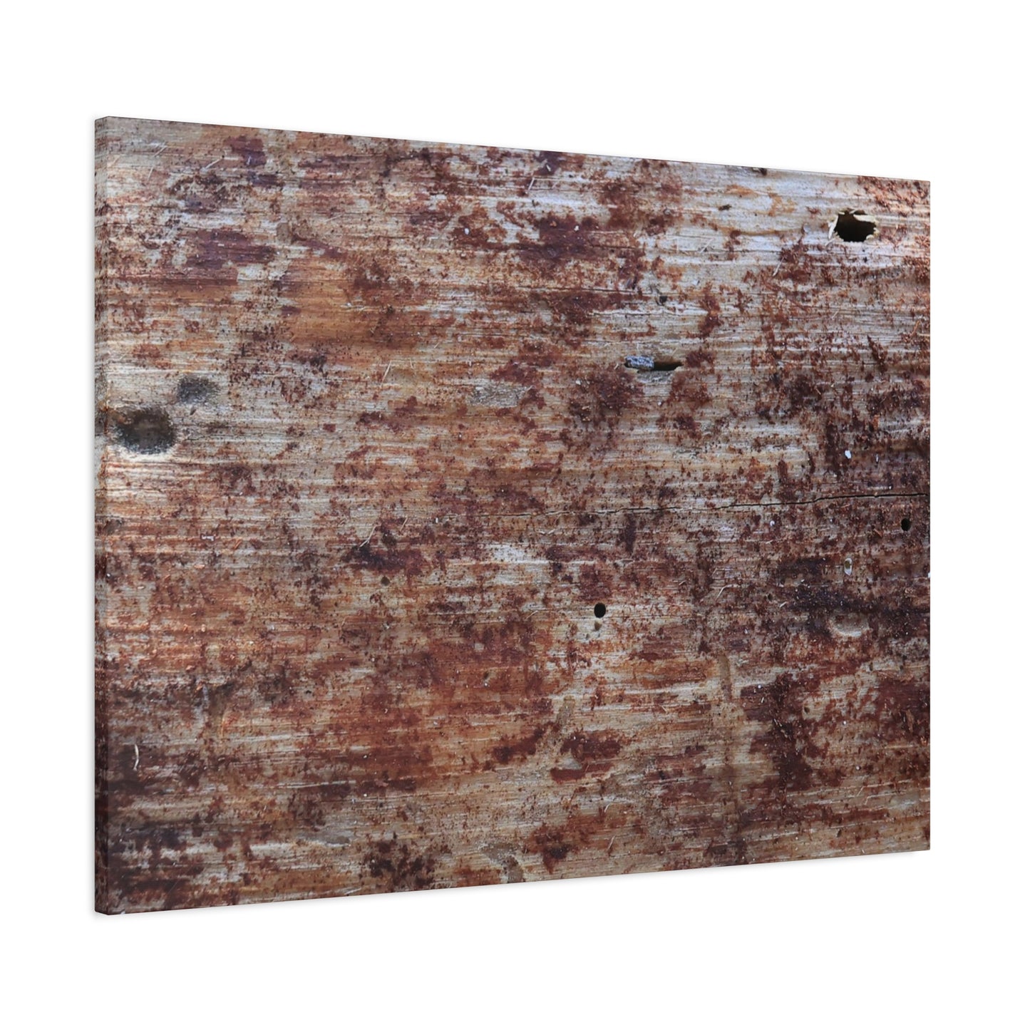 Decaying Memoir - Unique Frameless Canvas Wall Art