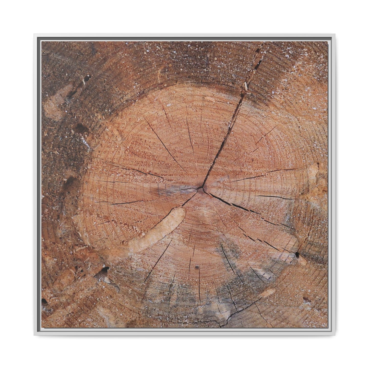 Concentric Memories - Unique Stretched Canvas Wall Art
