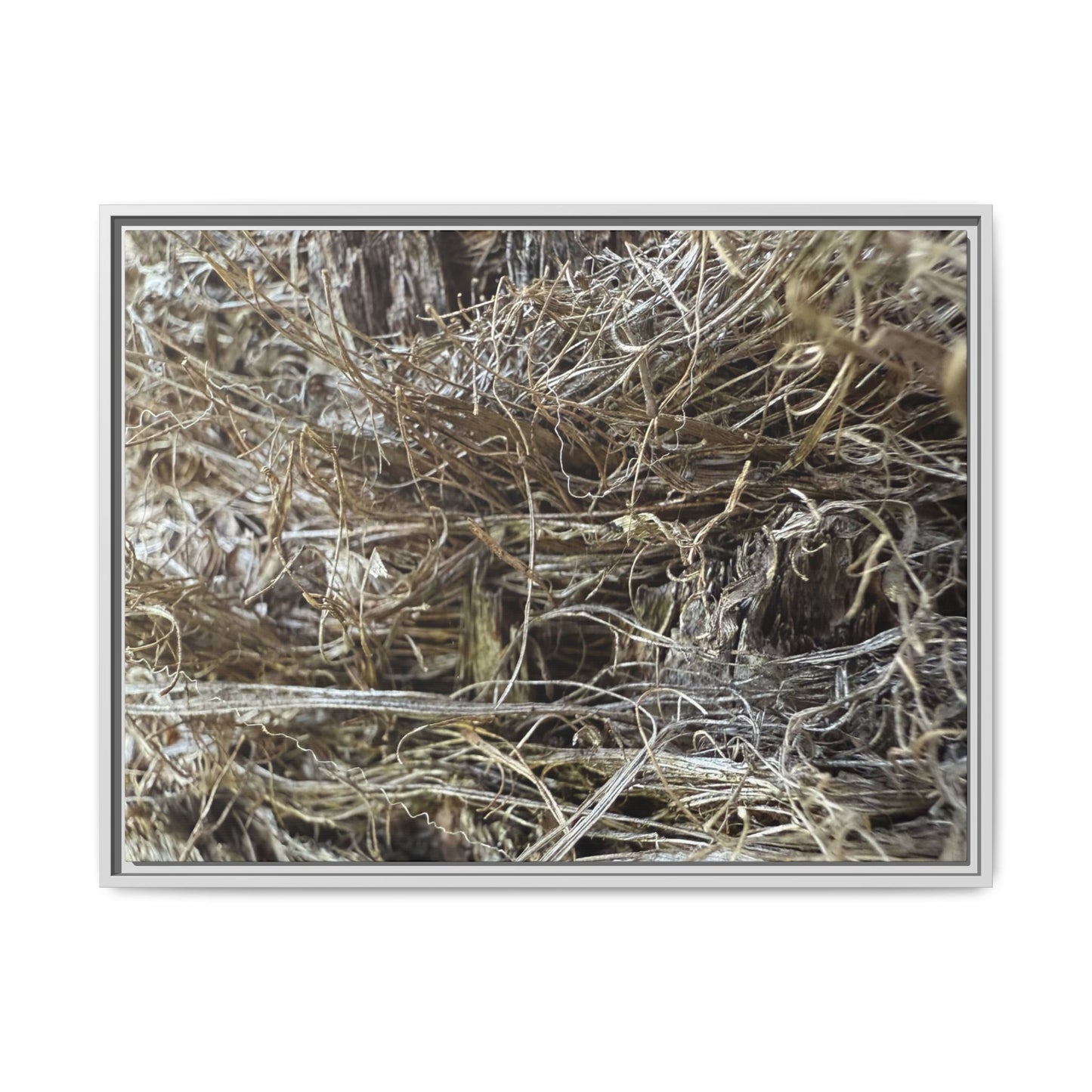 Tangled Whispers of Autumn - Unique Stretched Canvas Wall Art