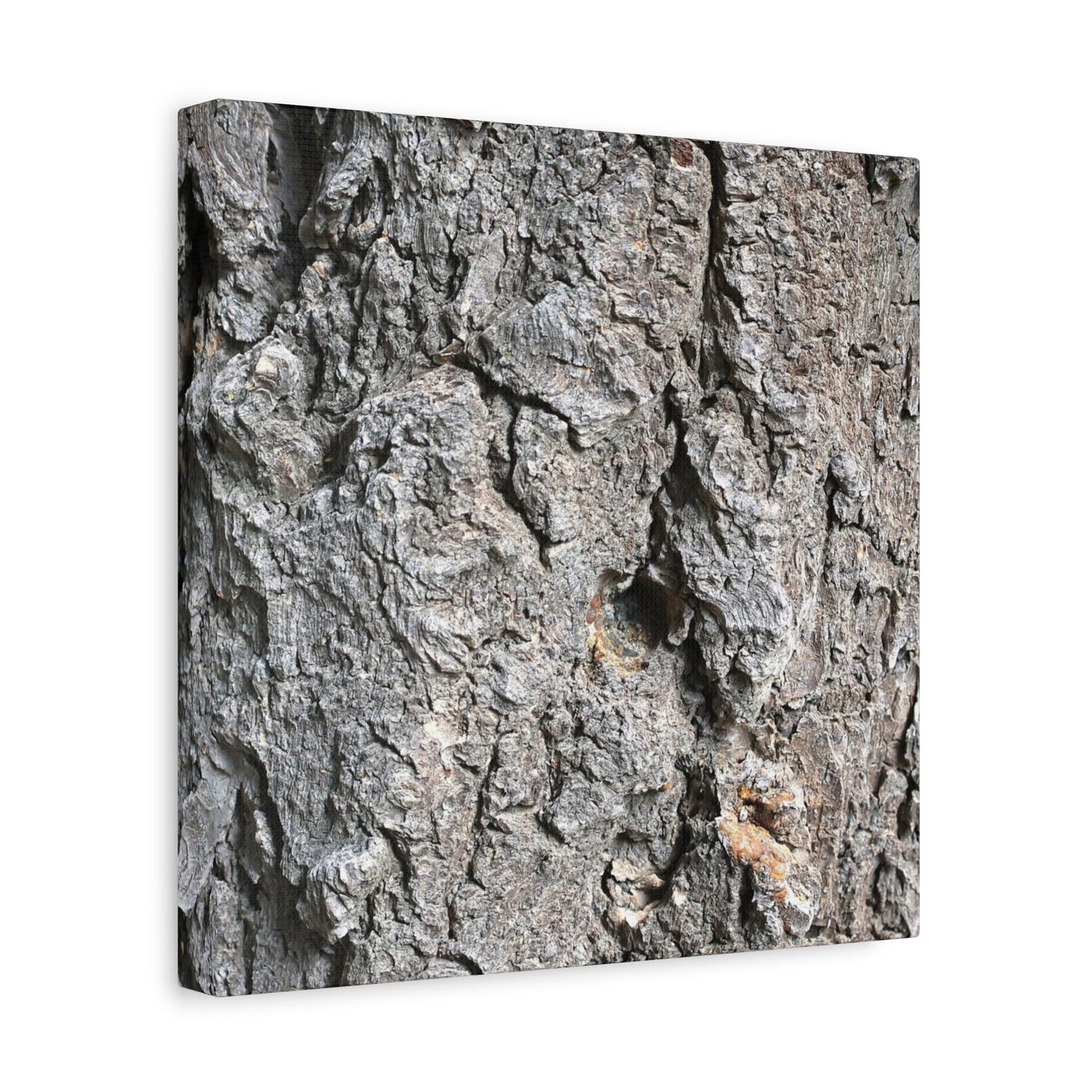 Elemental Canvas - Unique Frameless Canvas Wall Art