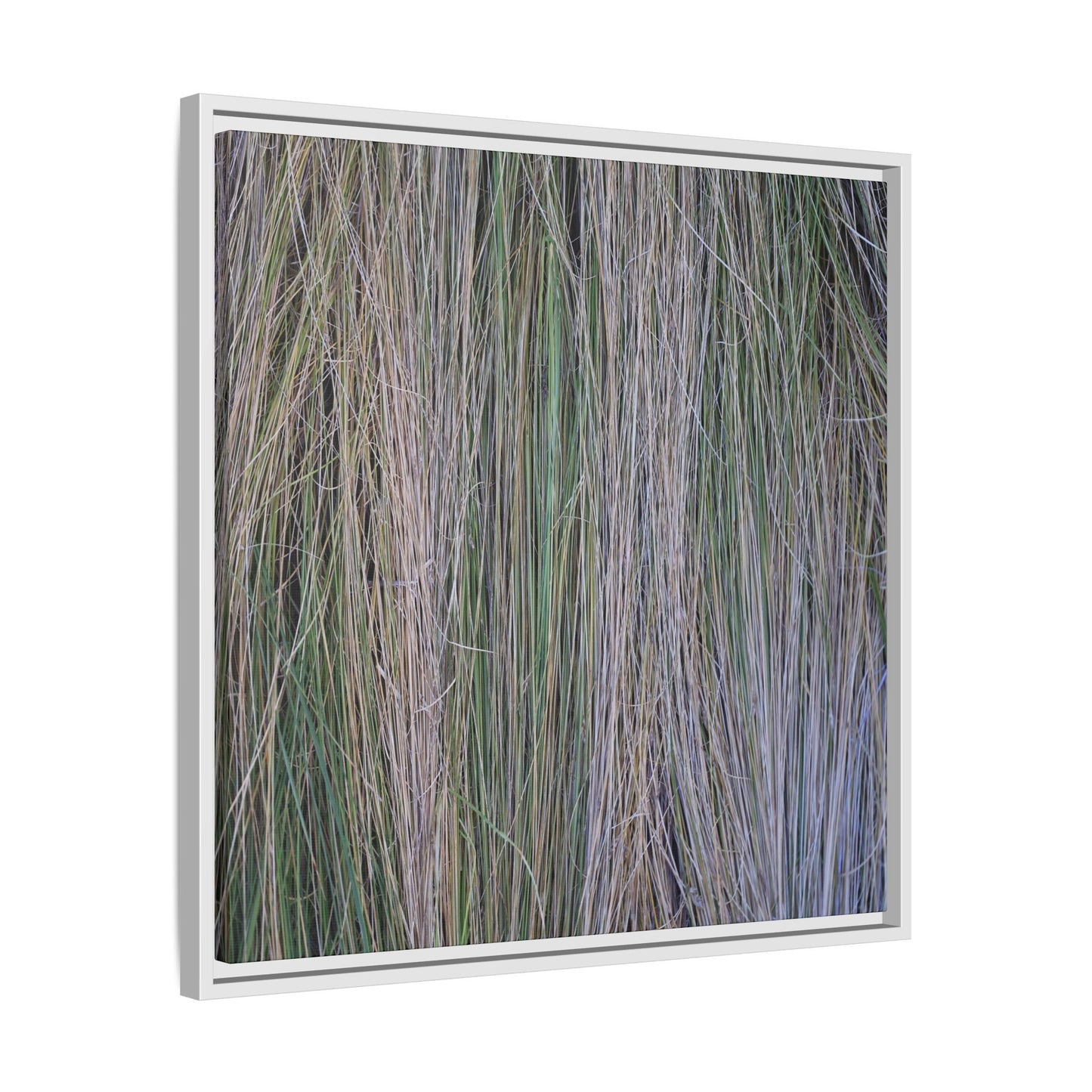 Whispers of Silver Grass - Unique Stretched Canvas Wall Art