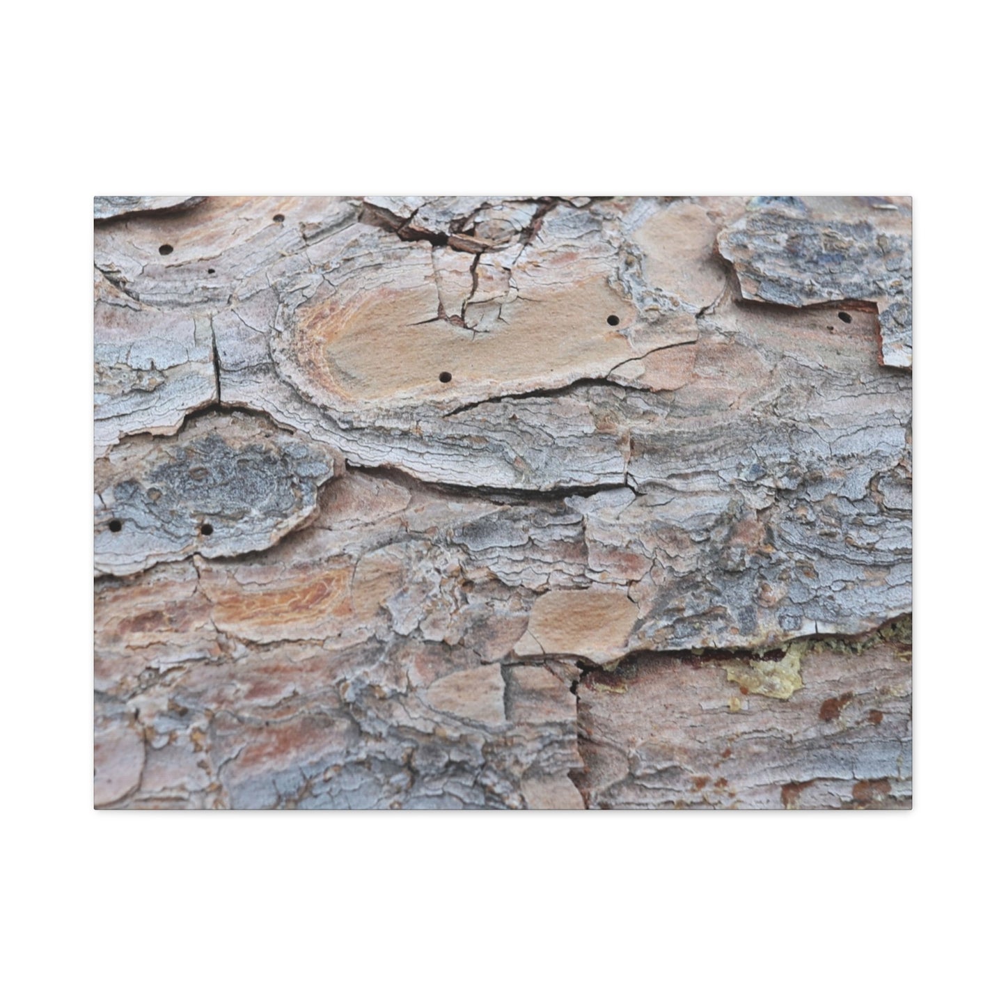 Textural Geology - Unique Frameless Canvas Wall Art