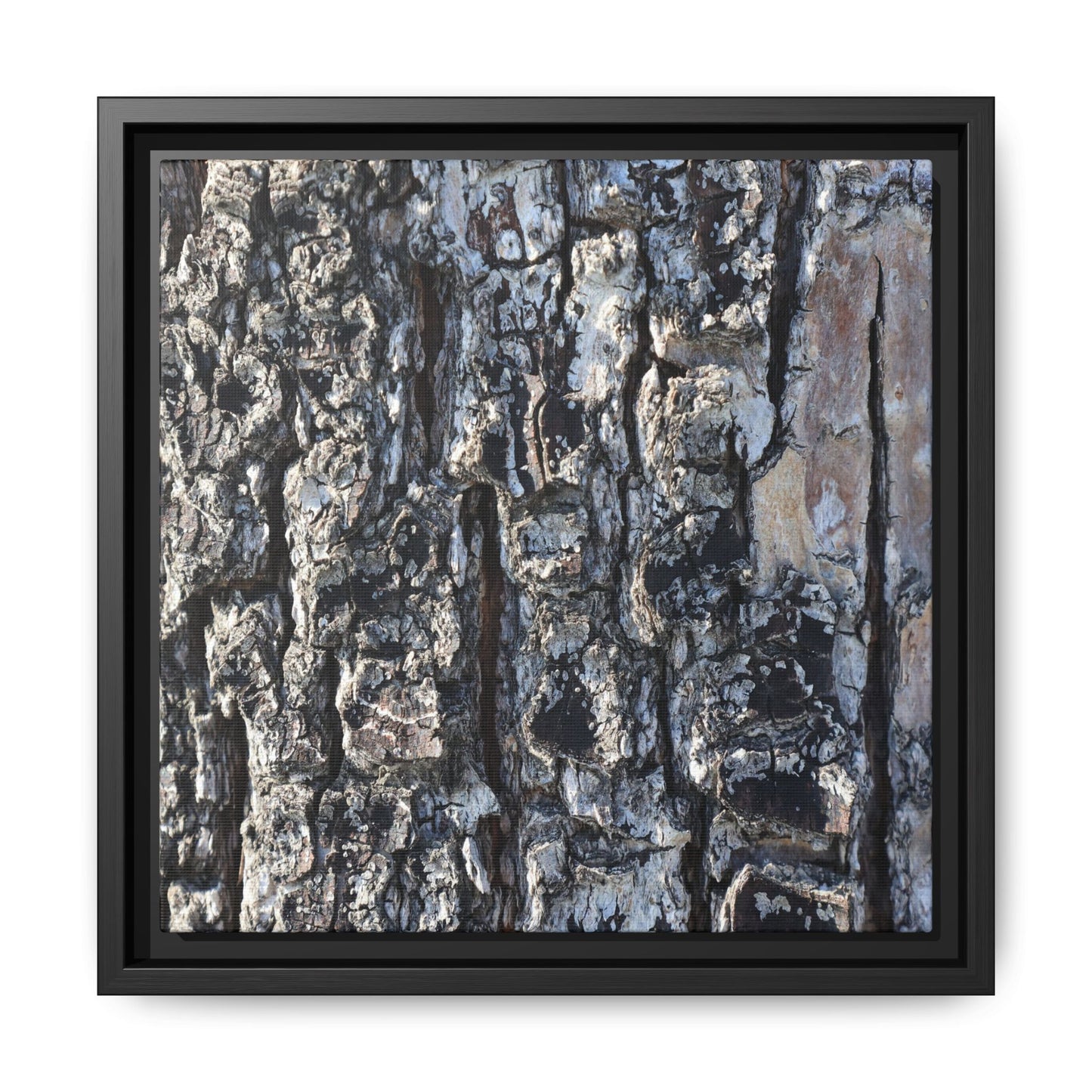 The Bark Chronicles - Unique Stretched Canvas Wall Art