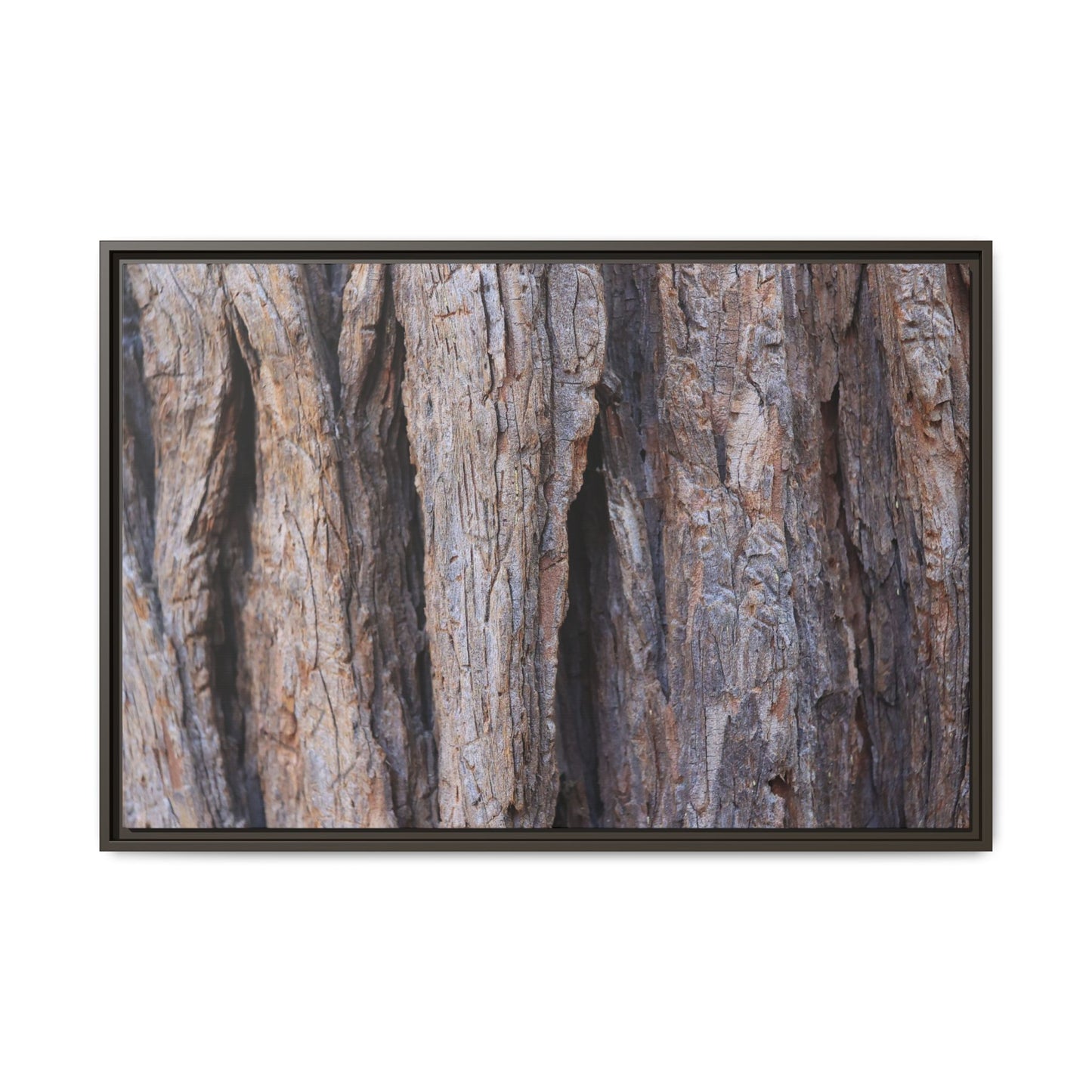Ancient Grains - Unique Stretched Canvas Wall Art