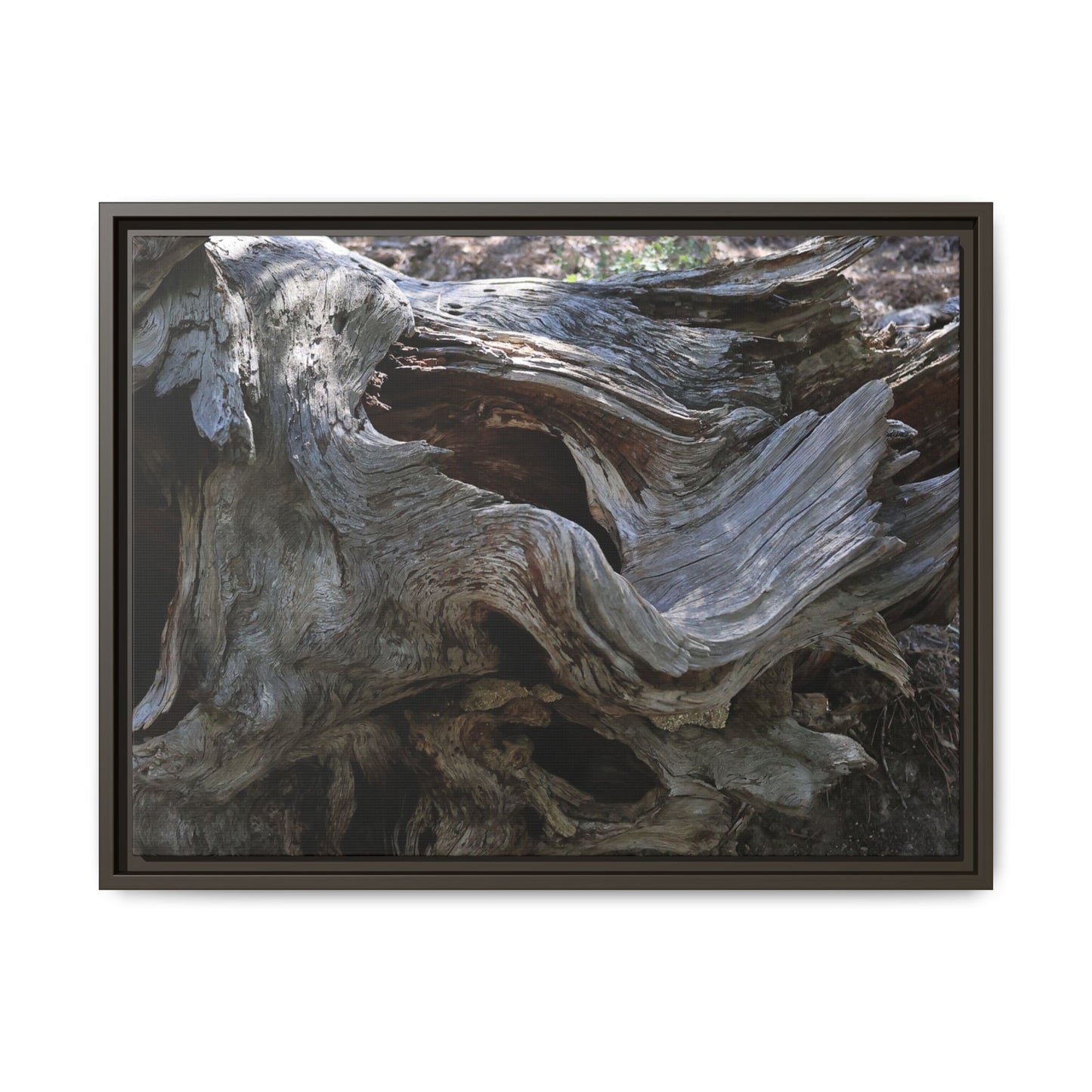 Twisted Memories - Unique Stretched Canvas Wall Art