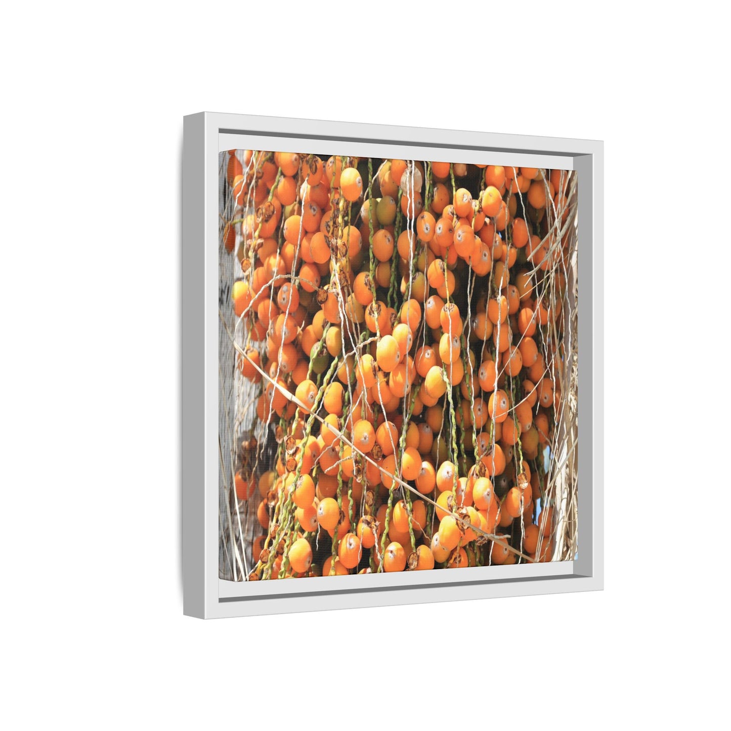 Clusters of Sunlight - Unique Canvas Wall Art