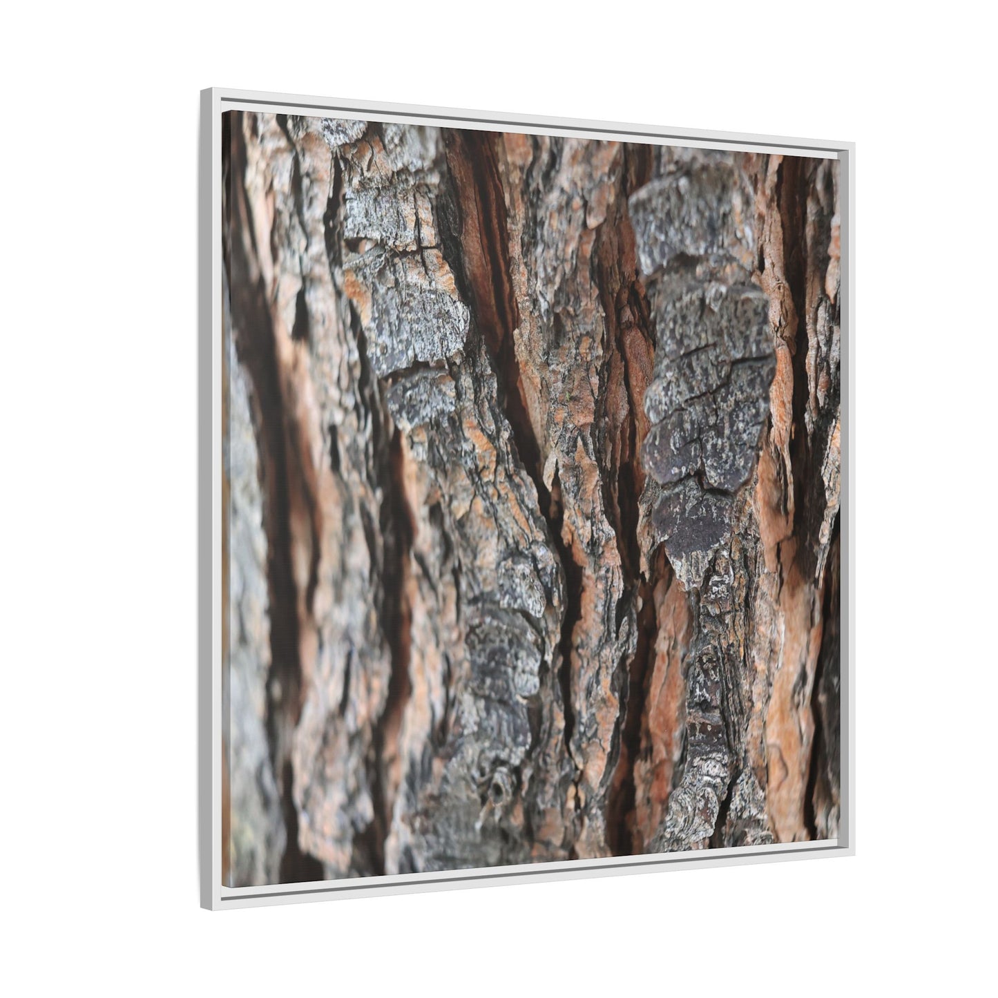 Fractured Nature - Unique Stretched Canvas Wall Art