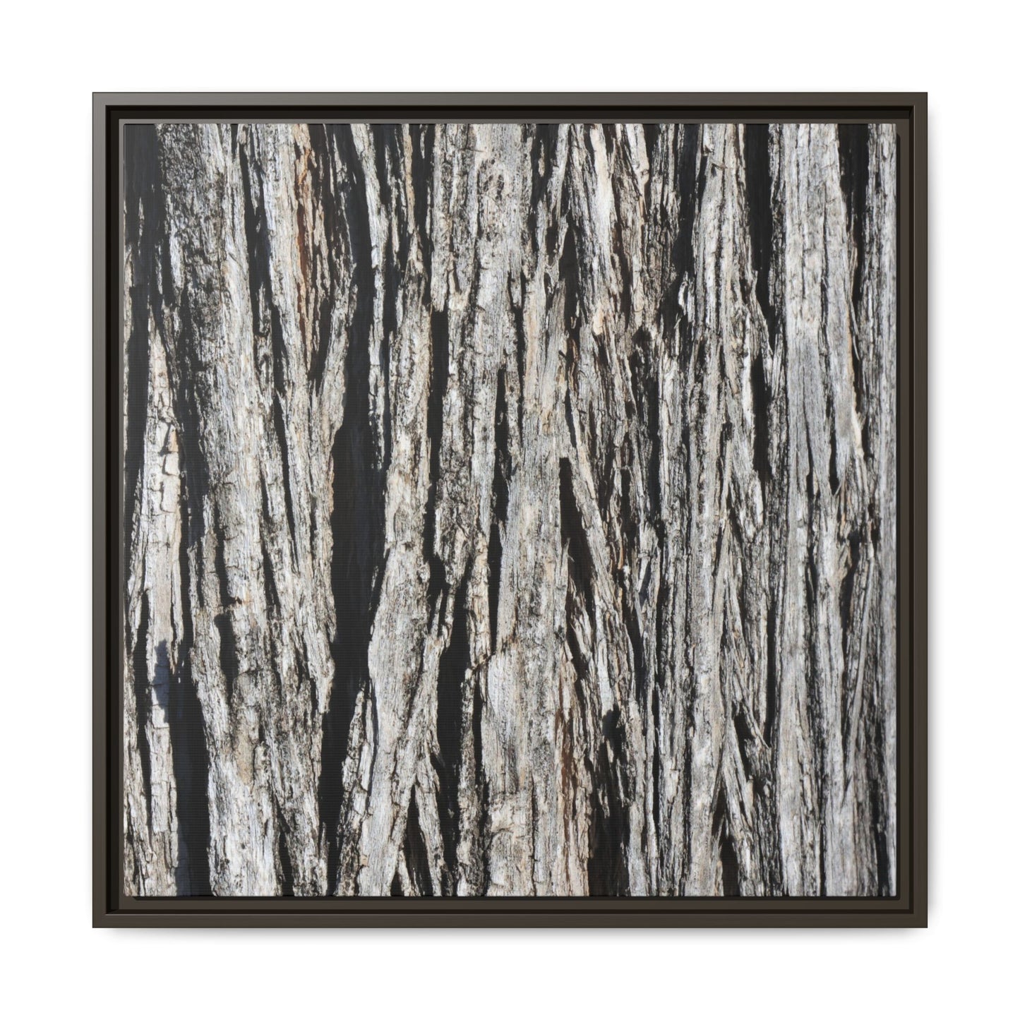 Nature's Abstract - Unique Stretched Canvas Wall Art