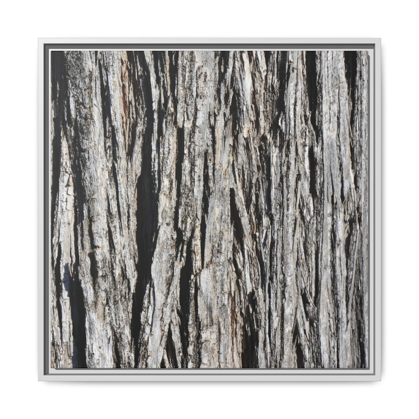Nature's Abstract - Unique Stretched Canvas Wall Art