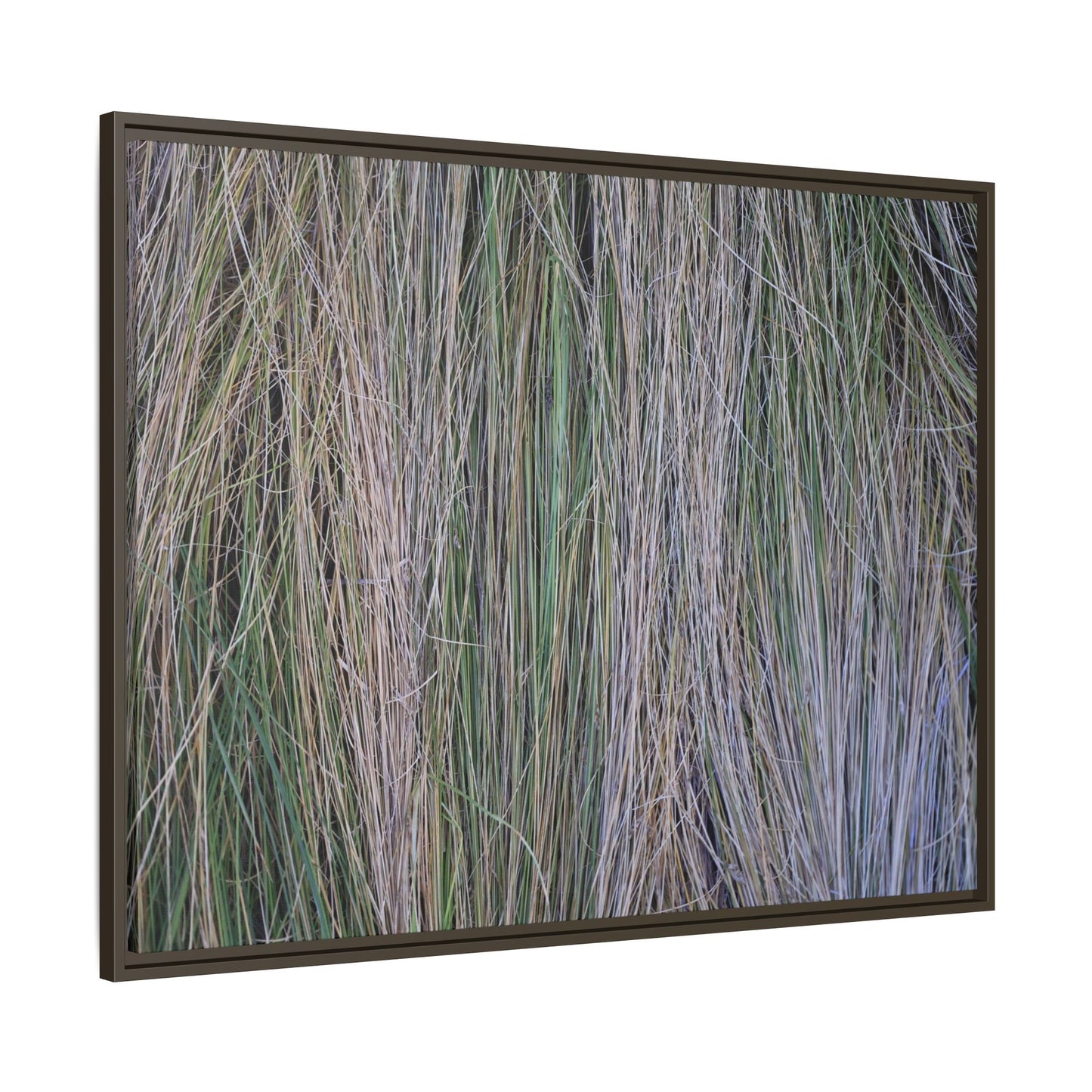 Whispers of Silver Grass - Unique Stretched Canvas Wall Art