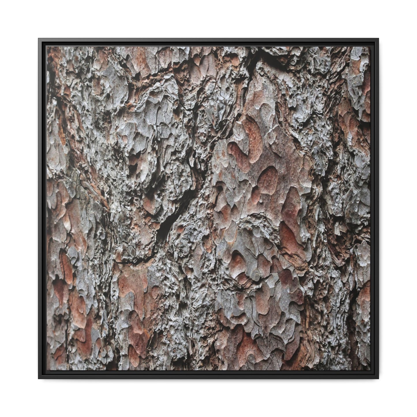 Bark Texture Symphony - Unique Stretched Canvas Wall Art