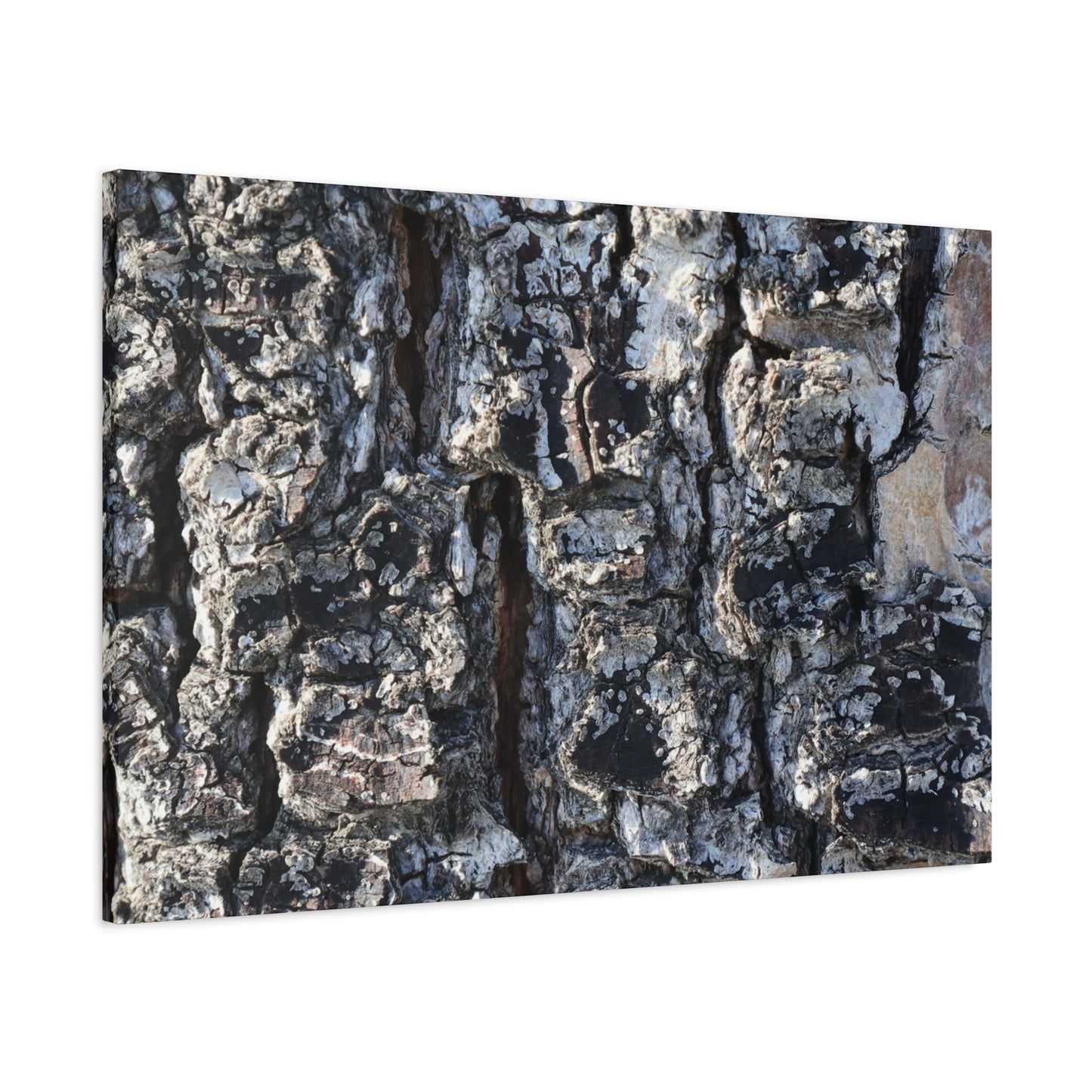 Textured Whispers of the Ancient Tree - Unique Frameless Canvas Wall Art