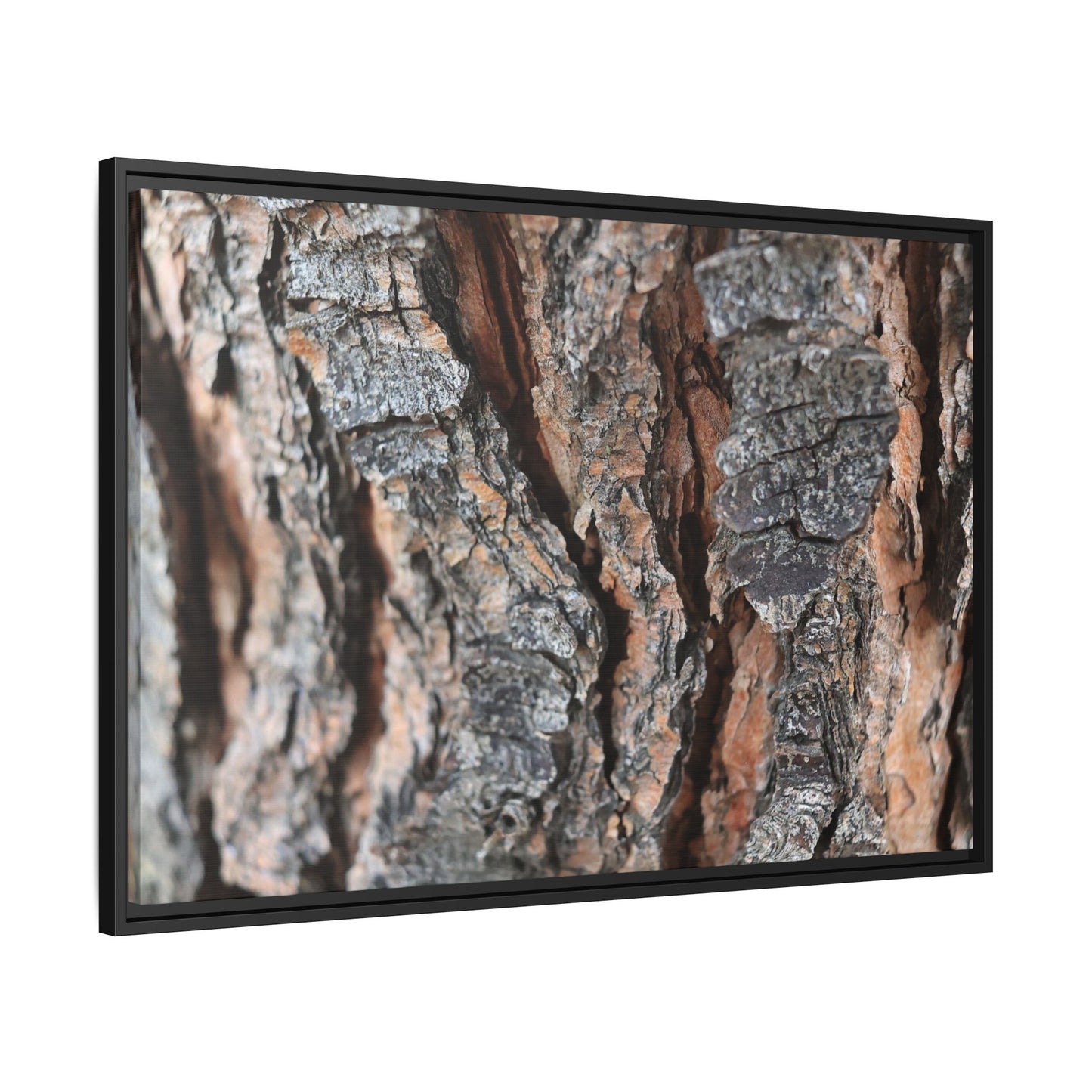 Fractured Nature - Unique Stretched Canvas Wall Art
