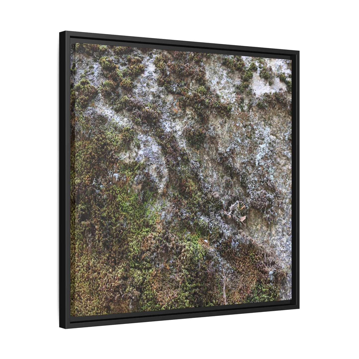 Mossy Whispers - Unique Stretched Canvas Wall Art