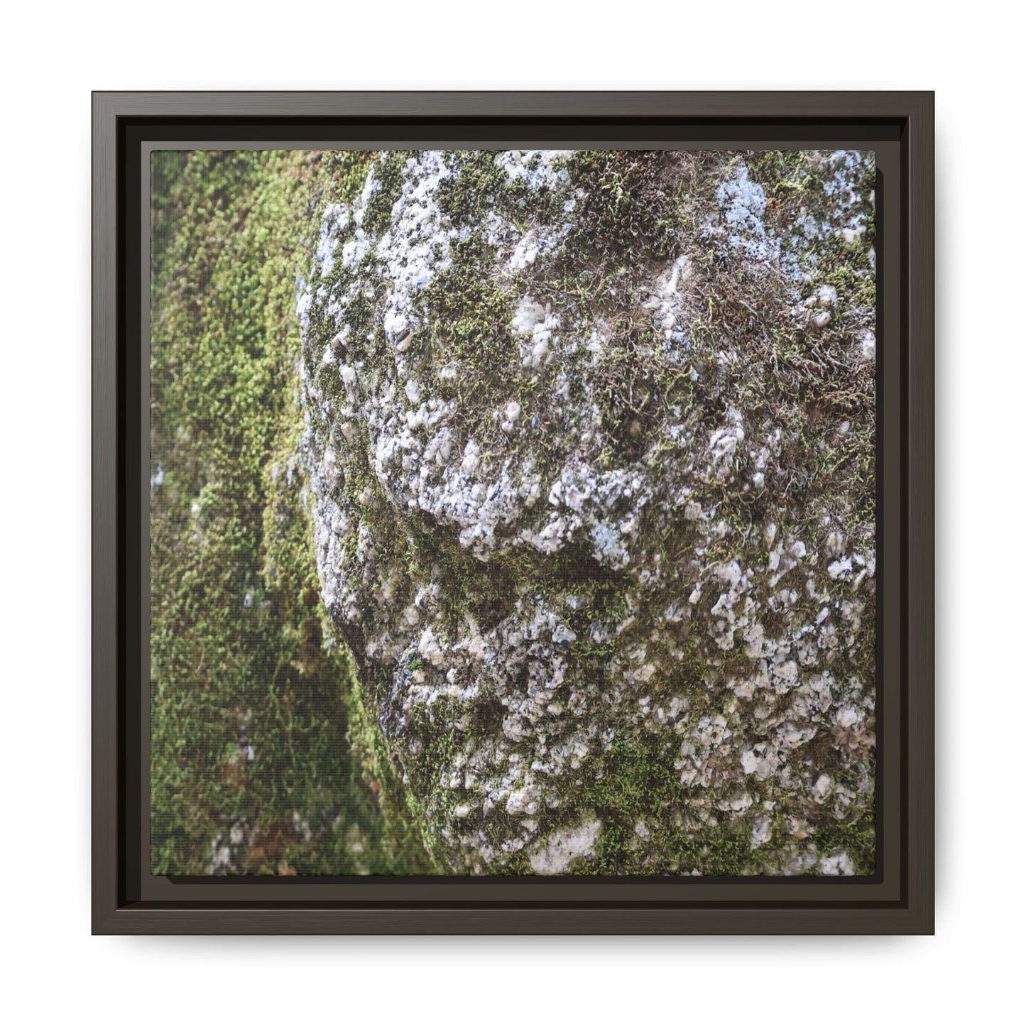 Lichen Landscape - Unique Stretched Canvas Wall Art