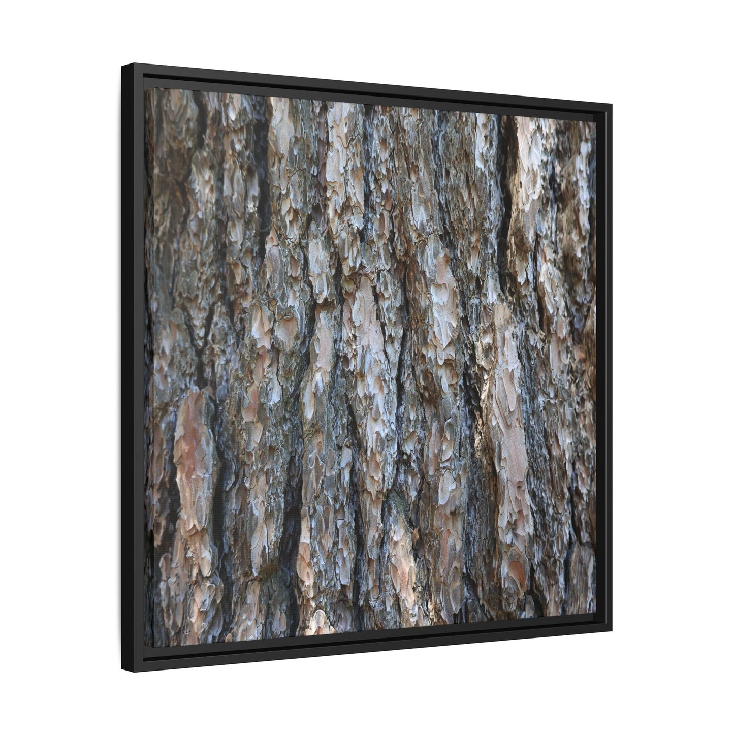 Bark Whispers - Unique Stretched Canvas Wall Art
